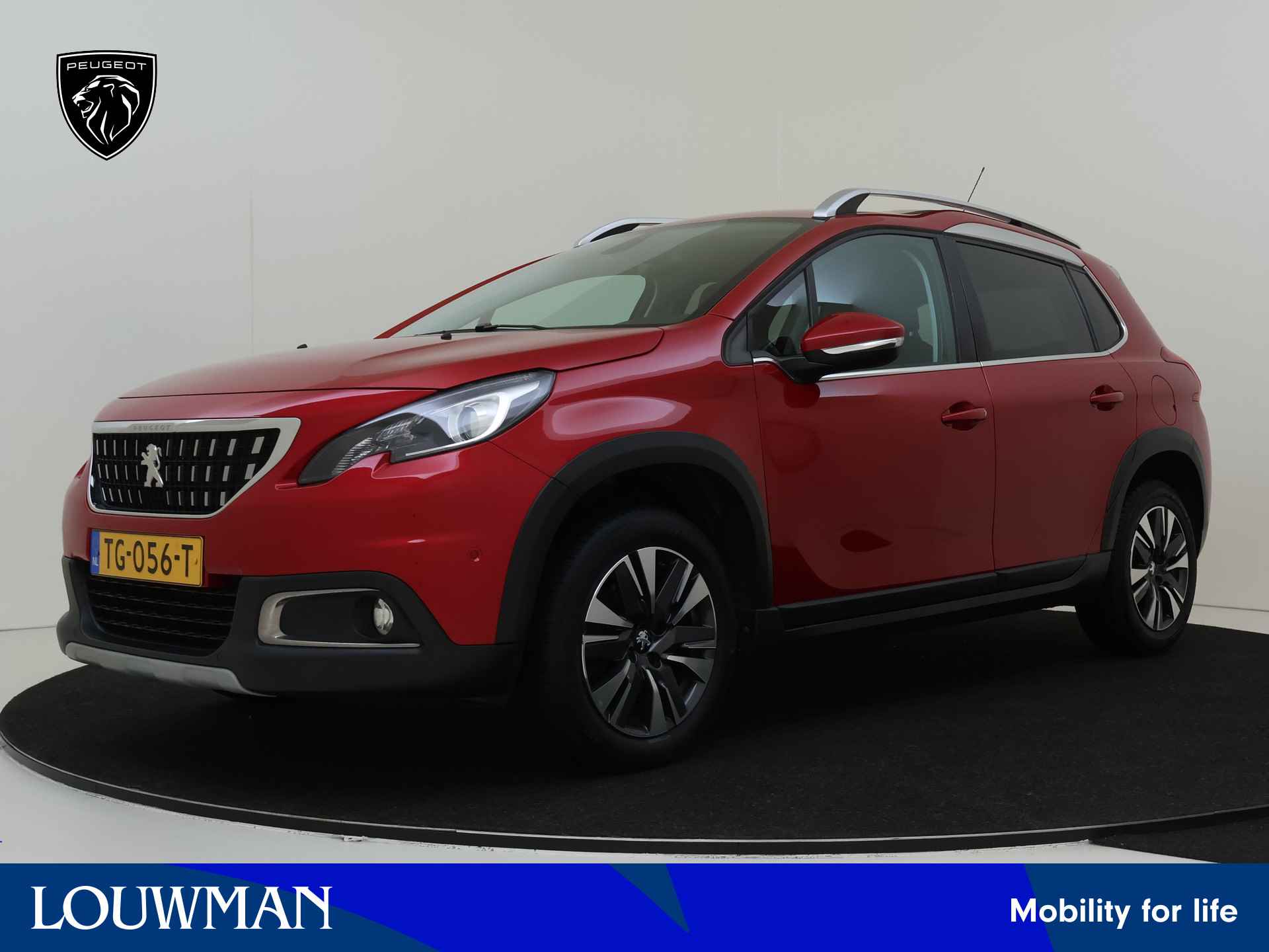 Peugeot 2008 BOVAG 40-Puntencheck