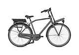 GAZELLE HeavyDutyNL C7+ HMB heren DEMO ZOLDER (1km) Heren Cloud Grey Mat 54cm 2022