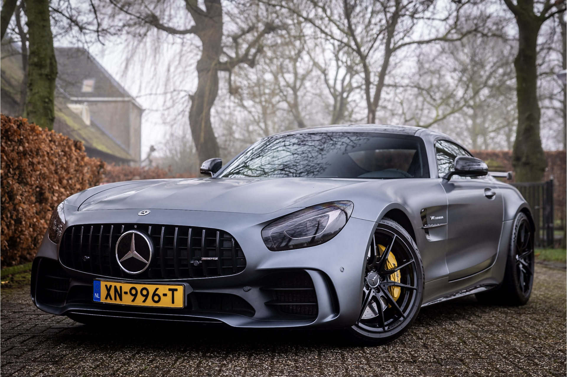 Mercedes-Benz AMG GT 4.0 R Carbon Burmester High End Track Pace BTW