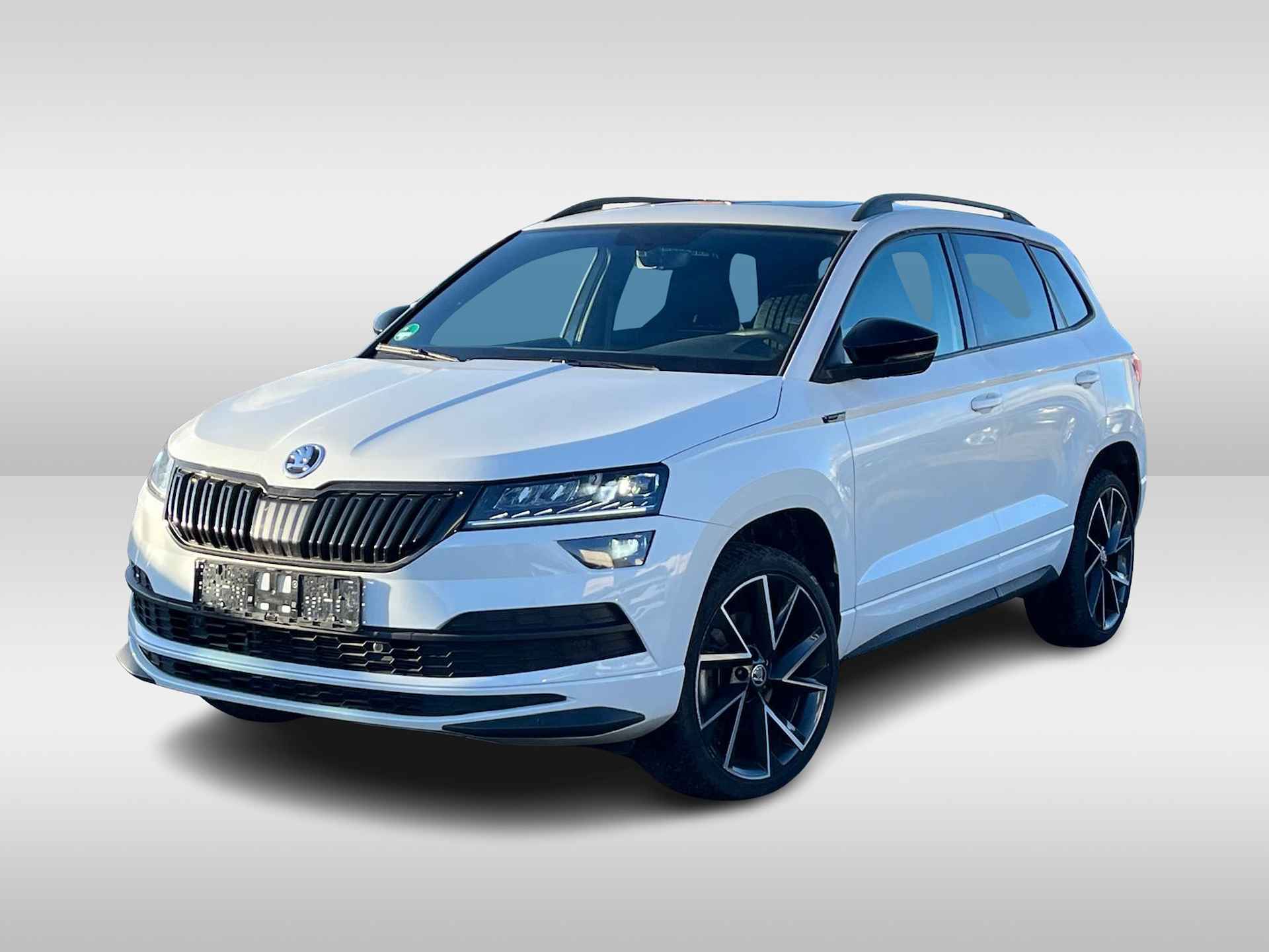 Škoda Karoq BOVAG 40-Puntencheck