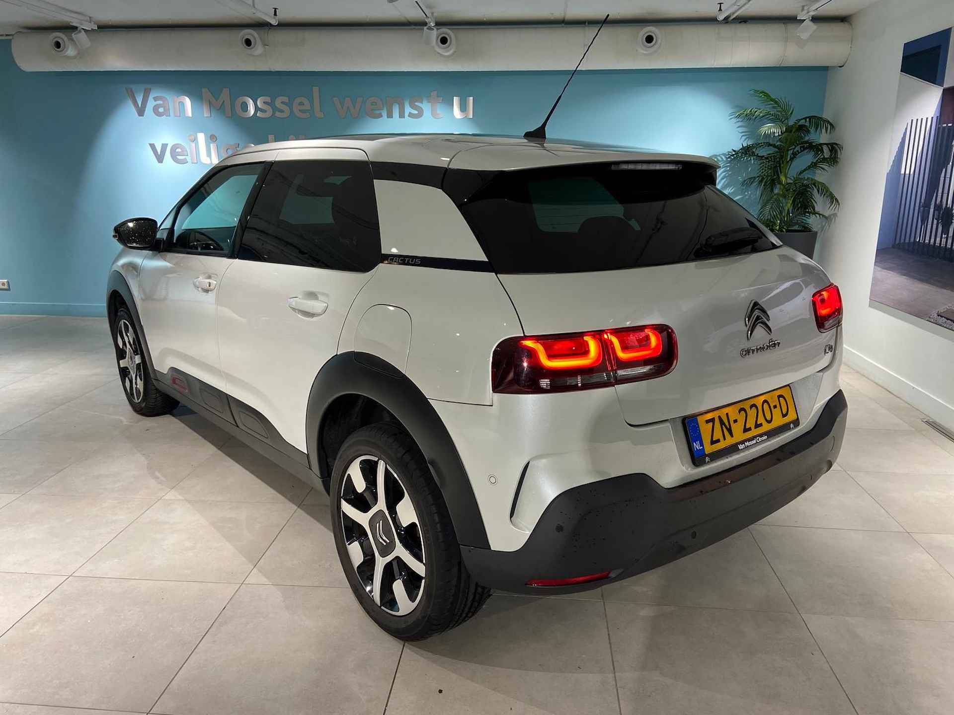 Citroen C4 Cactus 1.2 PureTech Shine Panodak | comfort seats | camera - 2/23