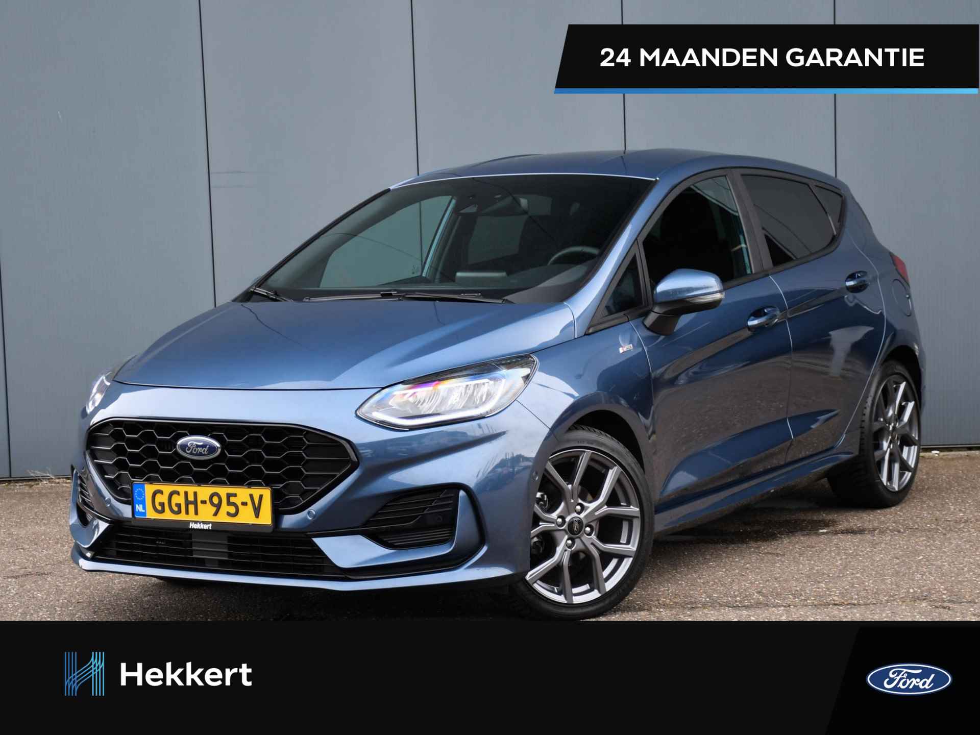 Ford Fiesta BOVAG 40-Puntencheck