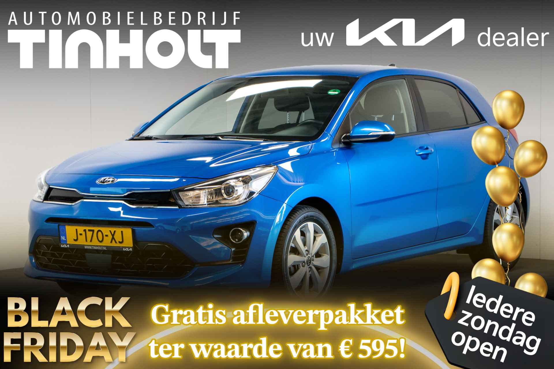 Kia Rio BOVAG 40-Puntencheck