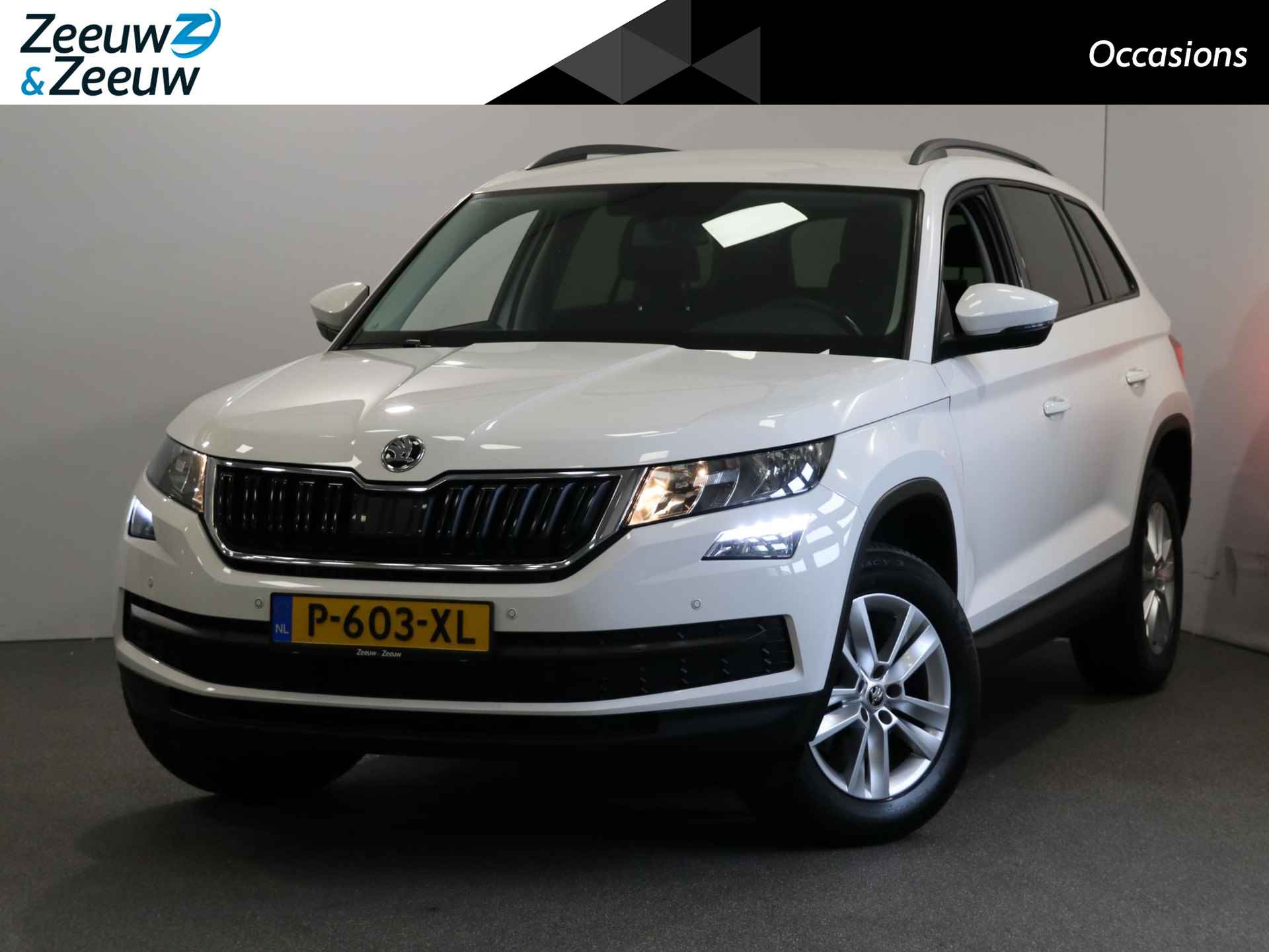 Škoda Kodiaq BOVAG 40-Puntencheck