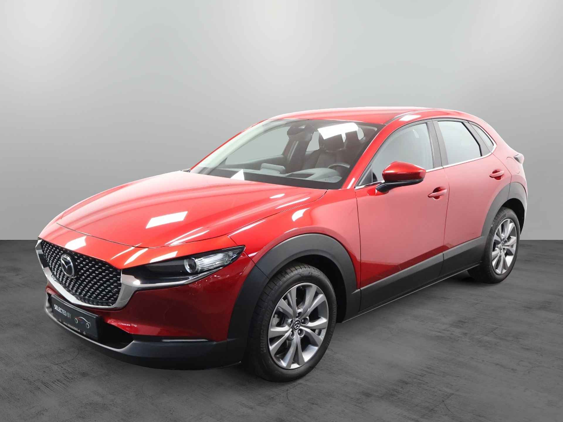 Mazda CX-30 BOVAG 40-Puntencheck