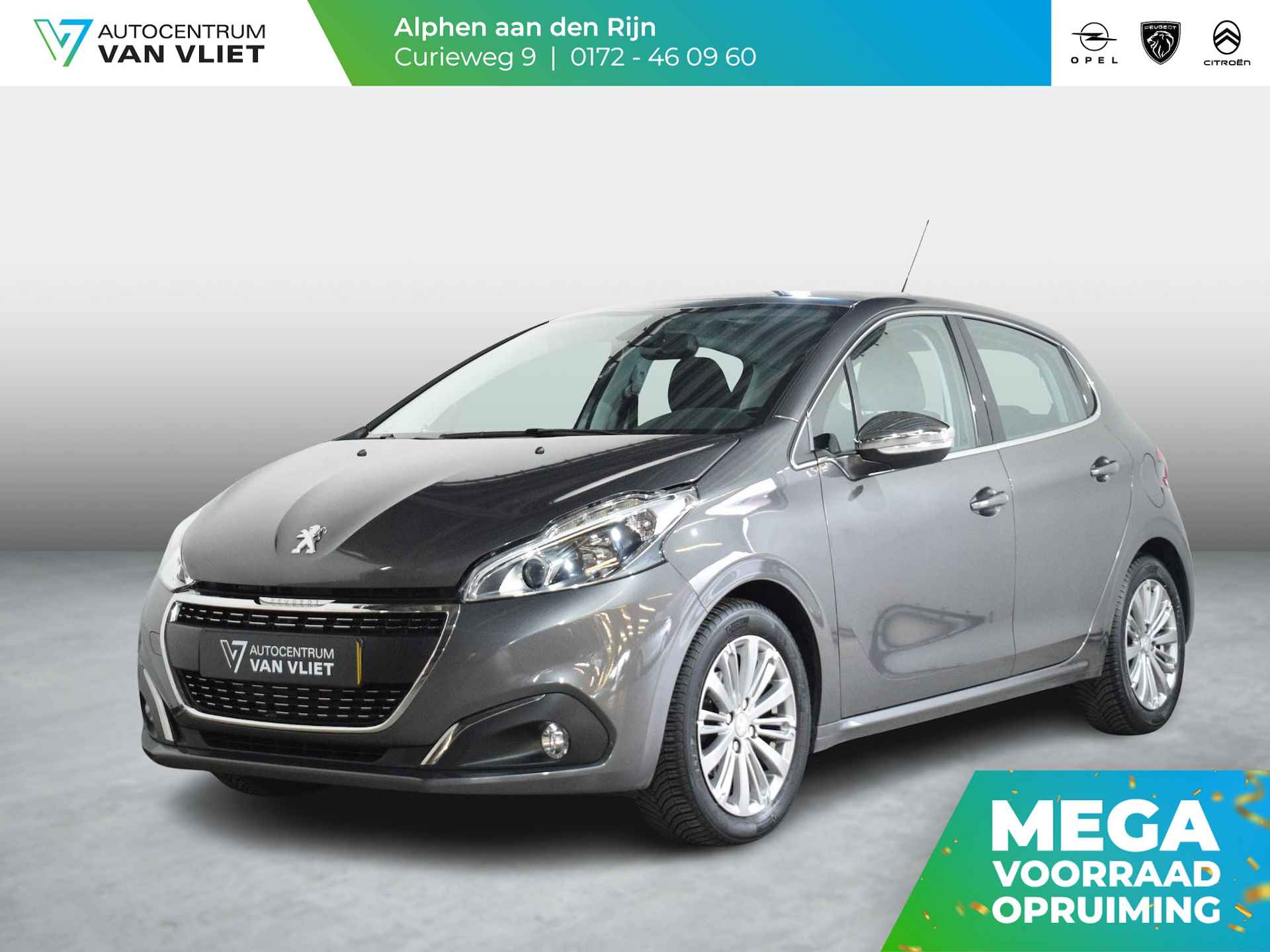 Peugeot 208 BOVAG 40-Puntencheck