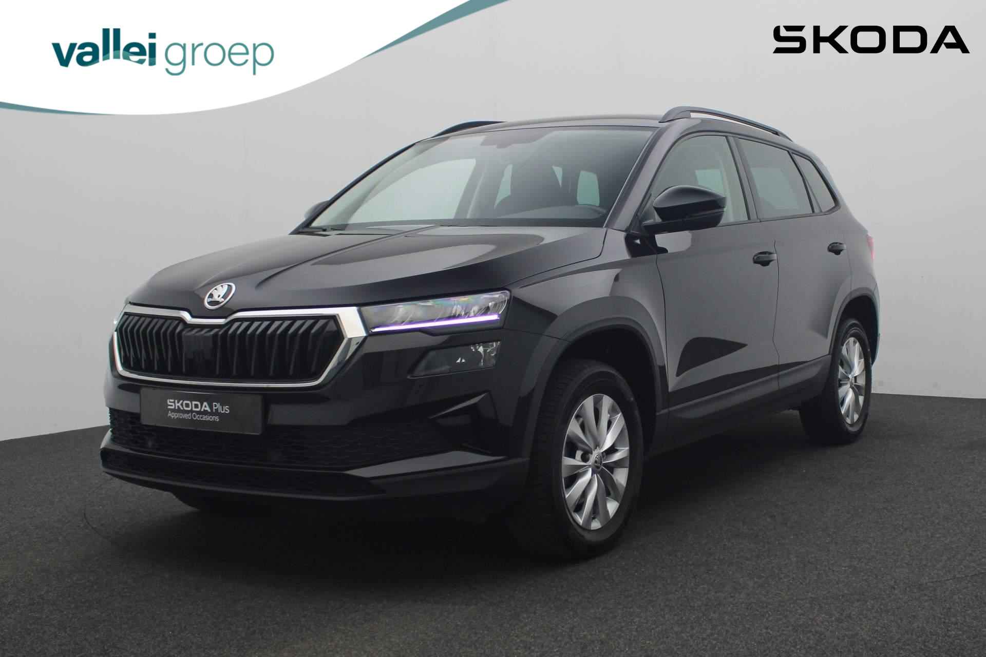 Škoda Karoq BOVAG 40-Puntencheck