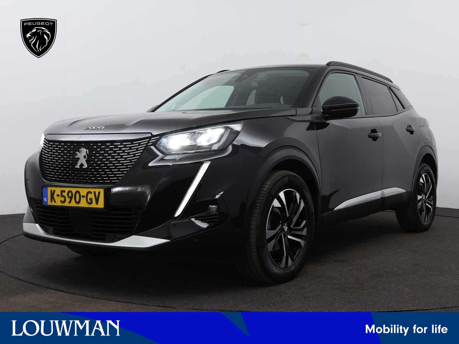 Peugeot 2008 BOVAG 40-Puntencheck