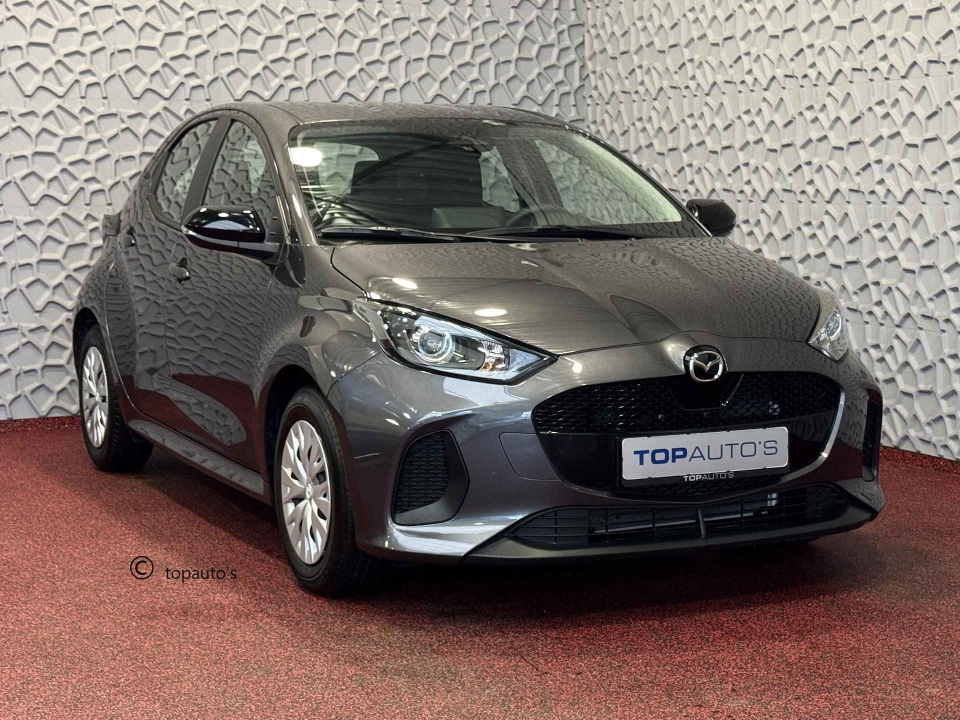 Mazda 2 BOVAG 40-Puntencheck