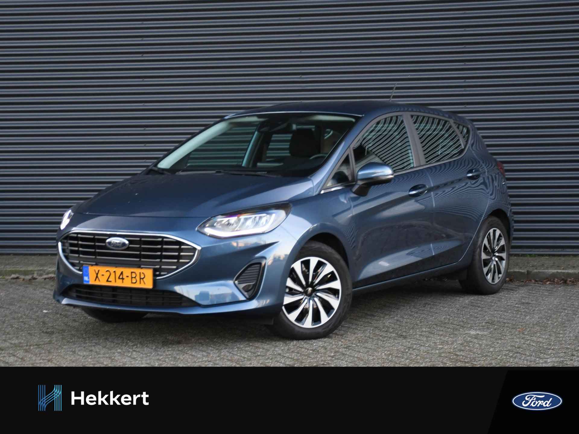 Ford Fiesta BOVAG 40-Puntencheck