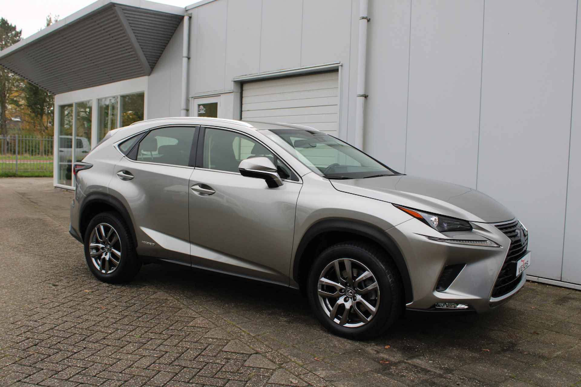 Lexus NX 300h Luxury Line AWD - 5/30