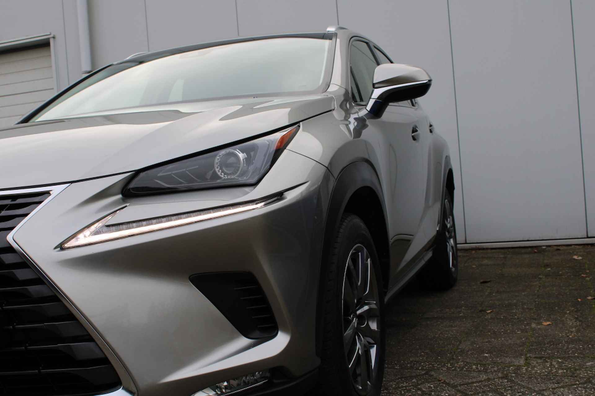 Lexus NX 300h Luxury Line AWD - 9/30