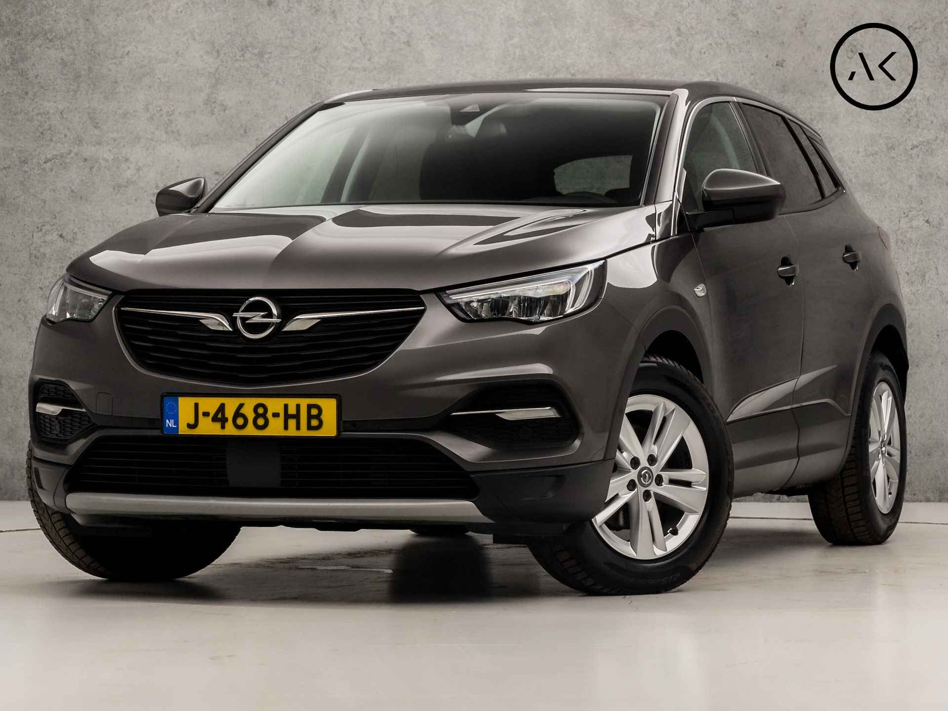 Opel Grandland X BOVAG 40-Puntencheck