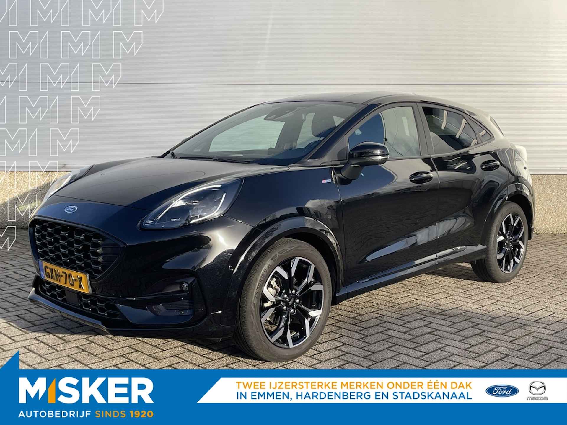 Ford Puma BOVAG 40-Puntencheck