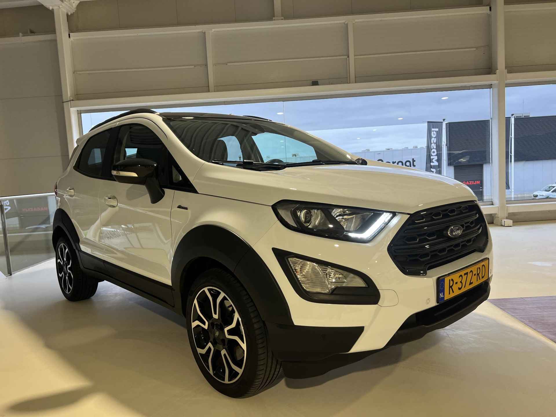 Ford EcoSport 1.0 EcoBoost Active | B&O audio | Winter Pack | Dodehoekdetectie - 6/25