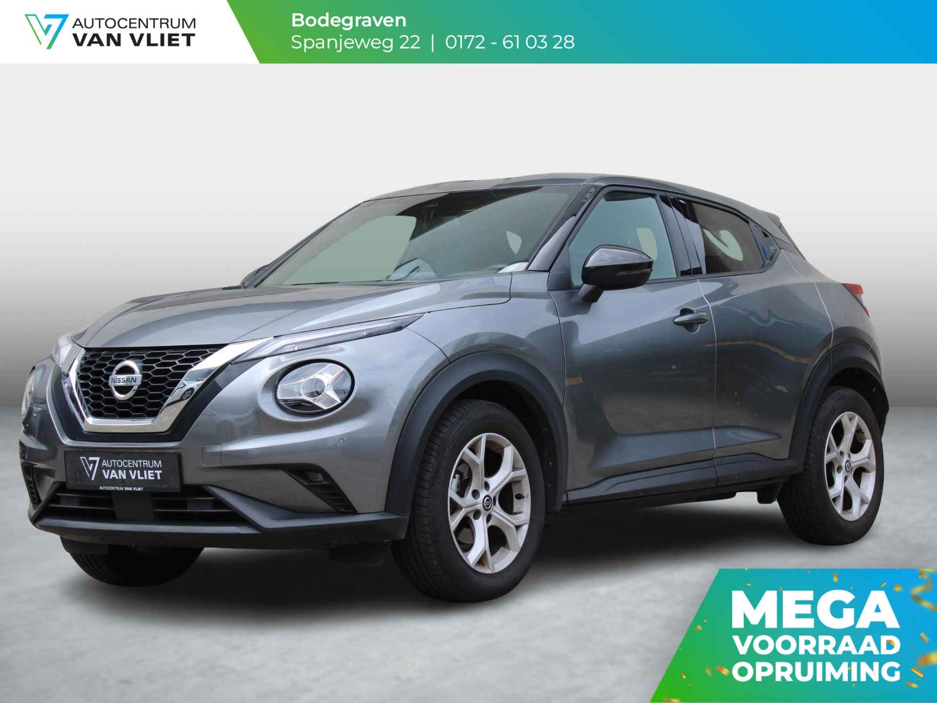 Nissan Juke BOVAG 40-Puntencheck