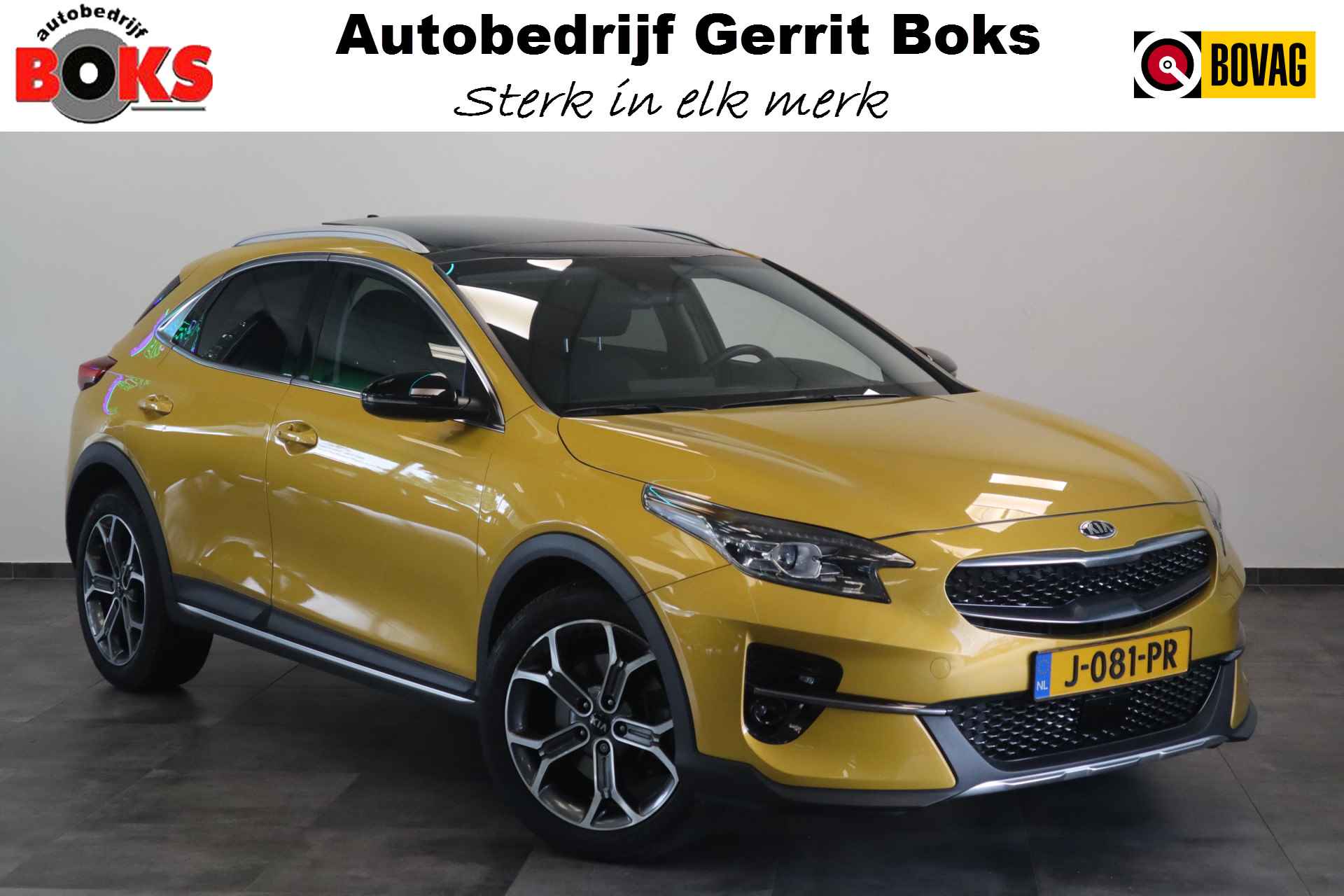 Kia XCeed BOVAG 40-Puntencheck