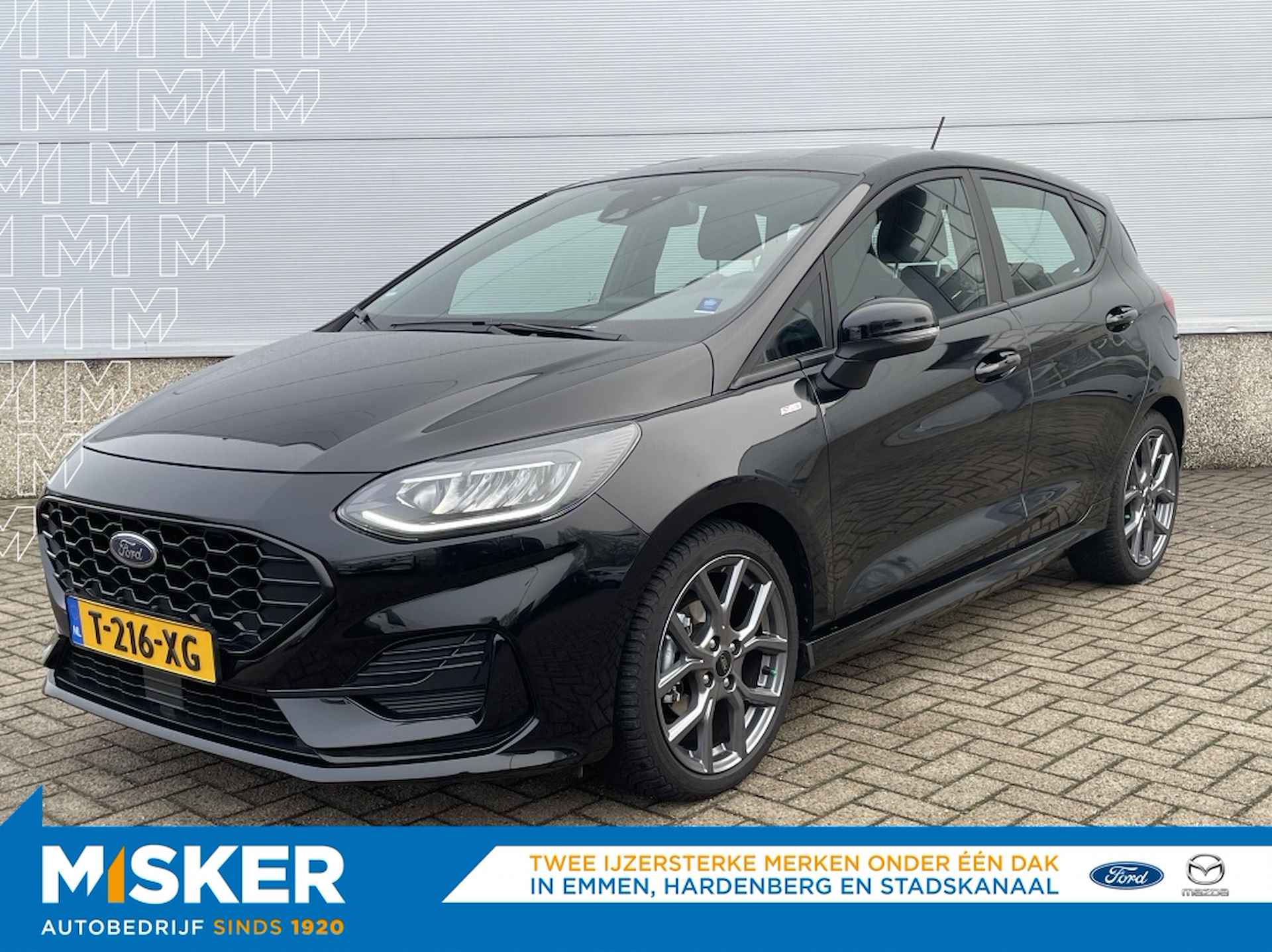 Ford Fiesta BOVAG 40-Puntencheck