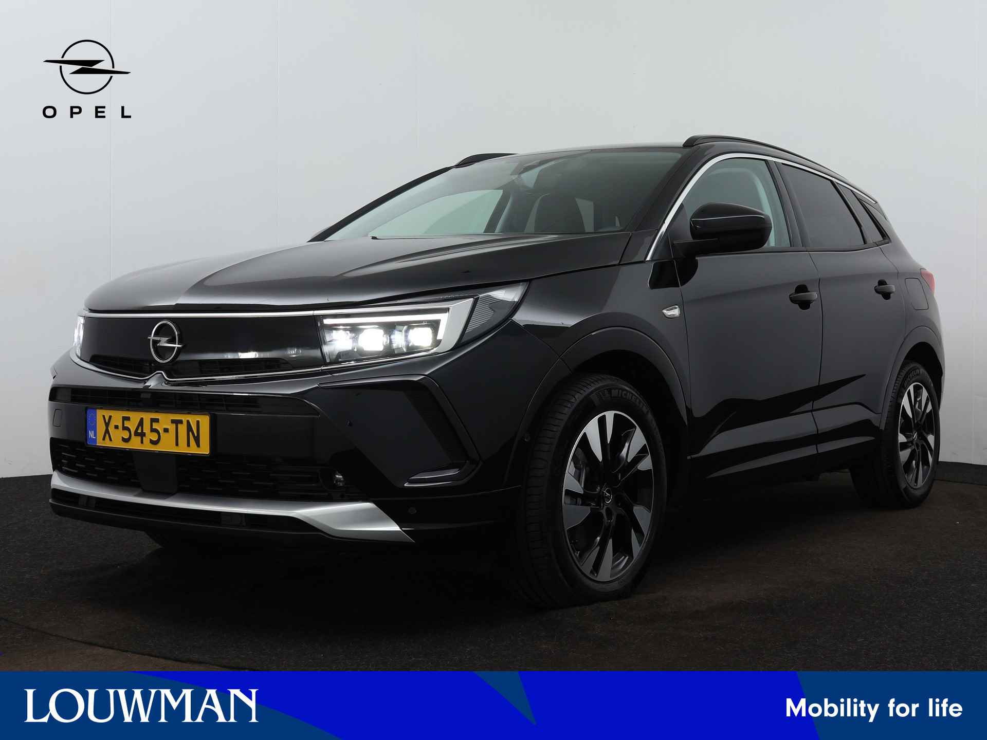 Opel Grandland X BOVAG 40-Puntencheck