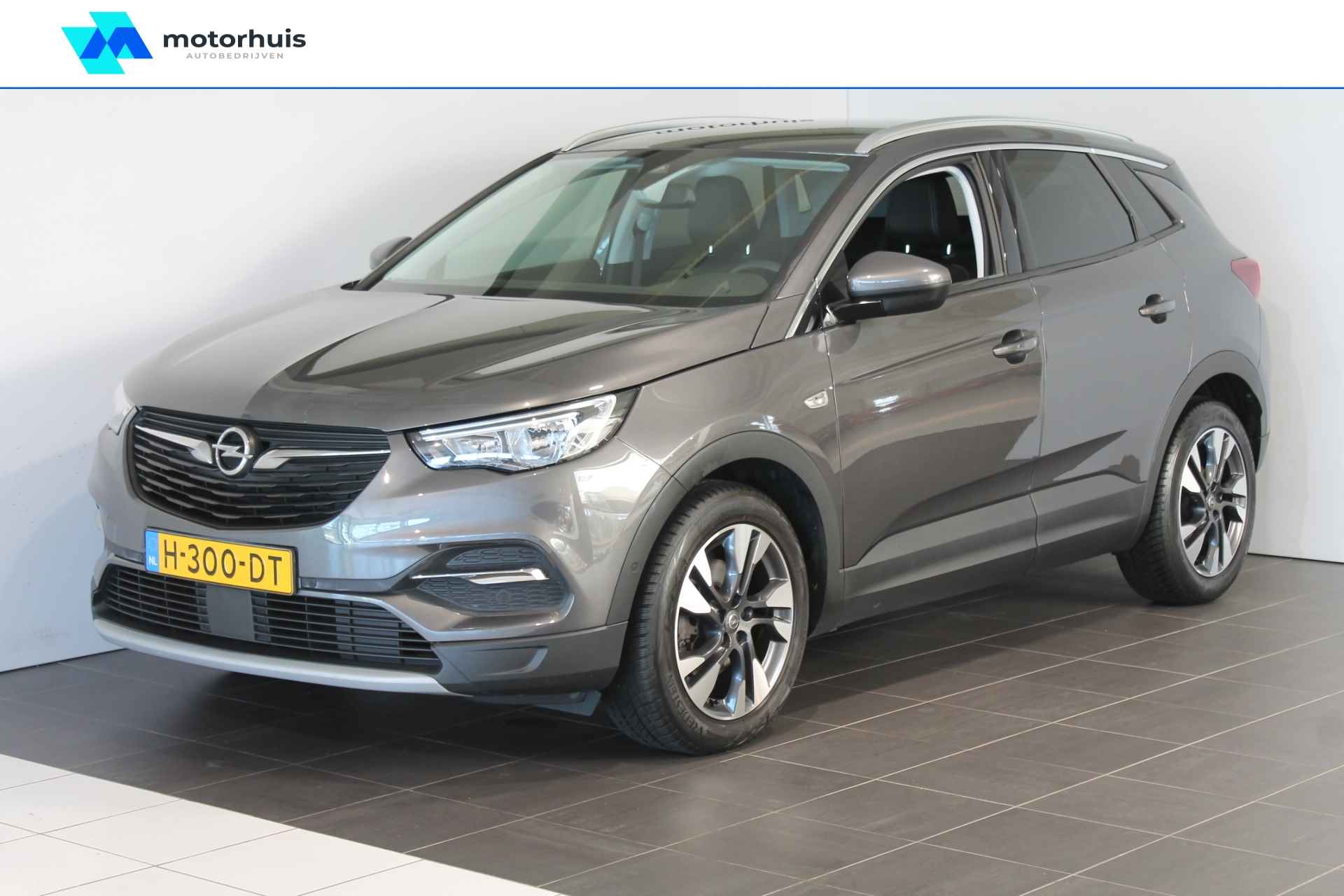 Opel Grandland X BOVAG 40-Puntencheck