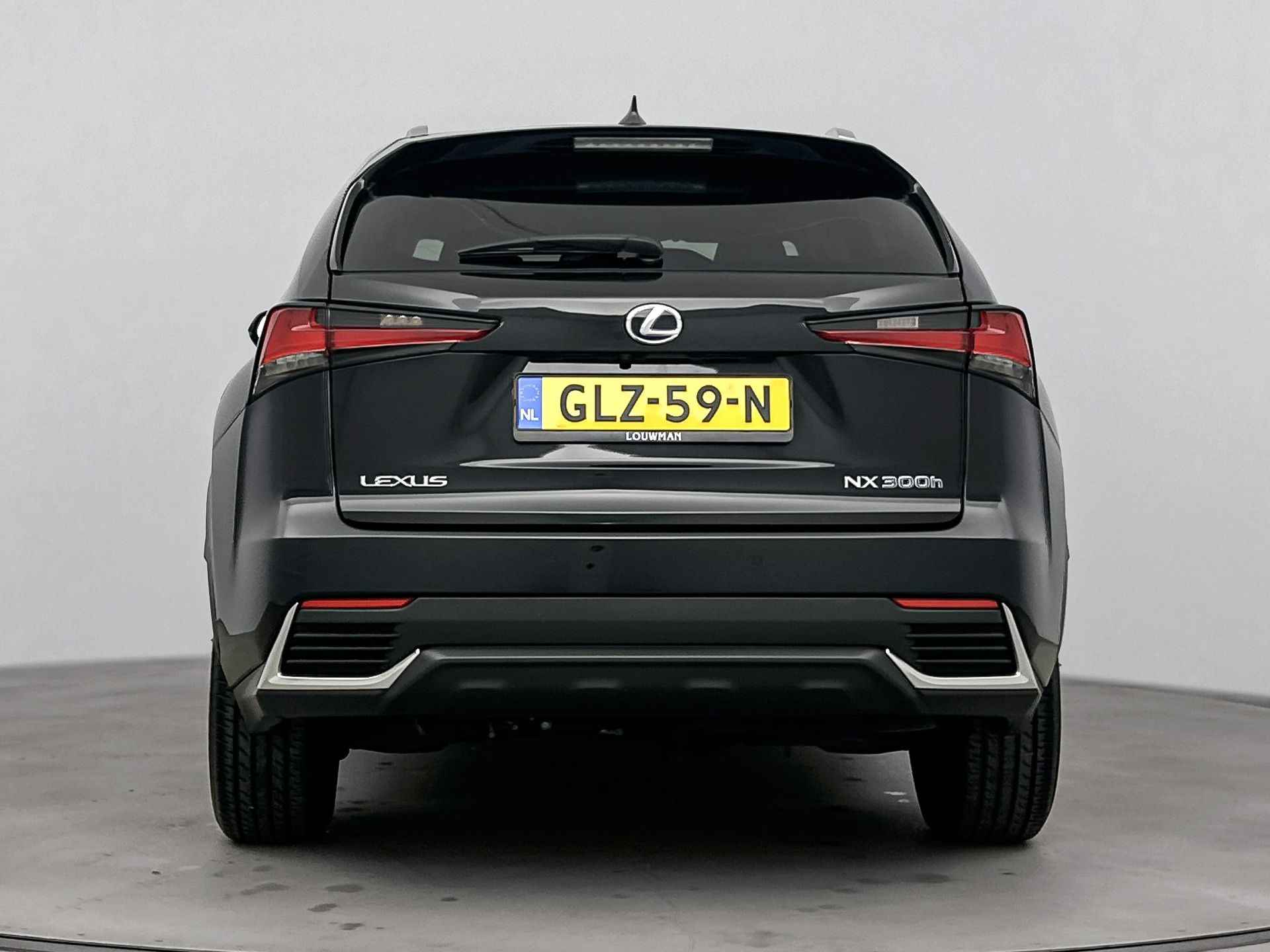 Lexus NX 300h AWD Executive Line Limited | President Pack | Schuifdak | Verwarmde voorstoelen | - 17/41