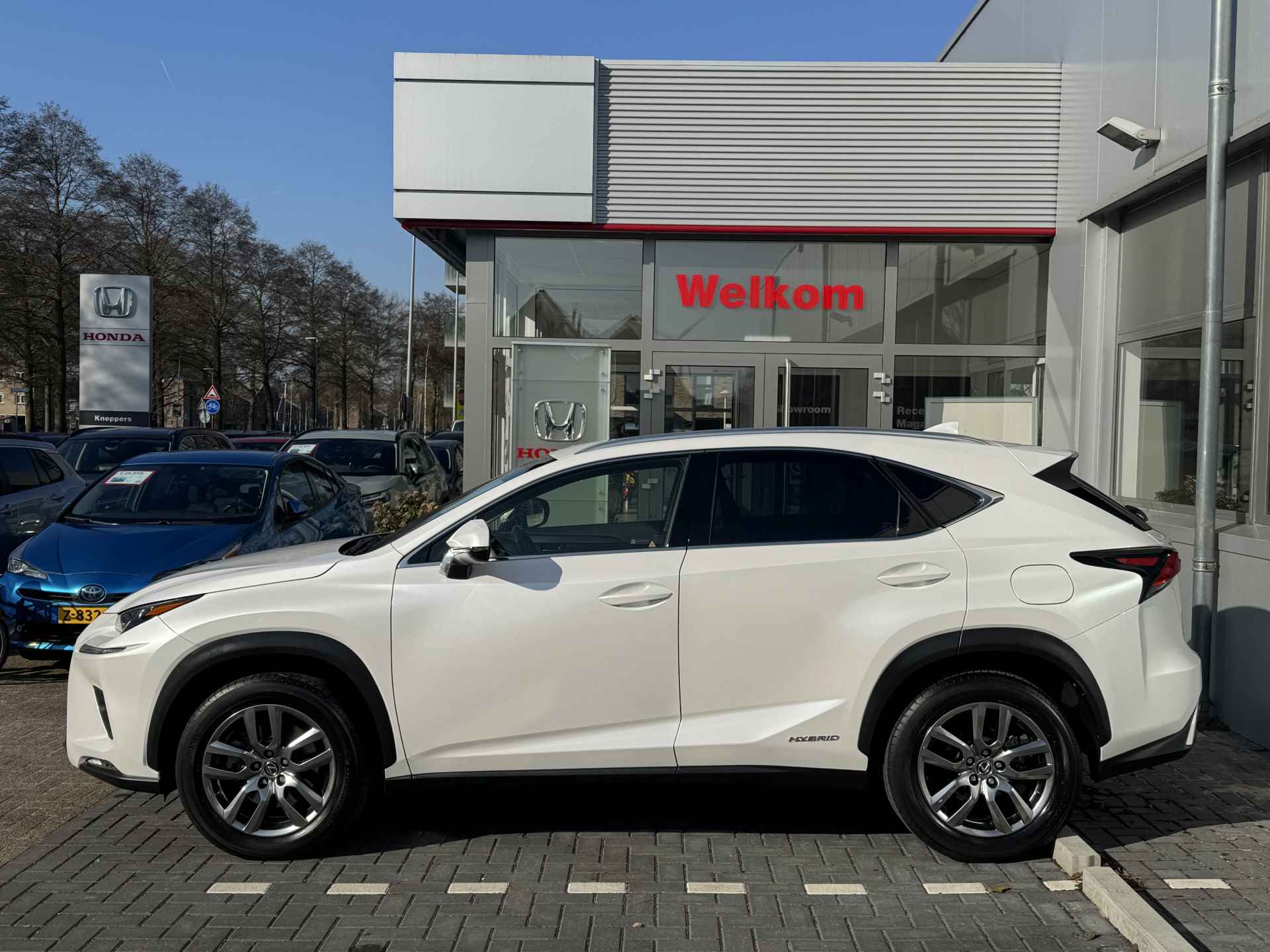 Lexus NX 300h AWD Sport Edition Panoramadak, Trekhaak, Navigatie  , All-in Rijklaarprijs - 3/42