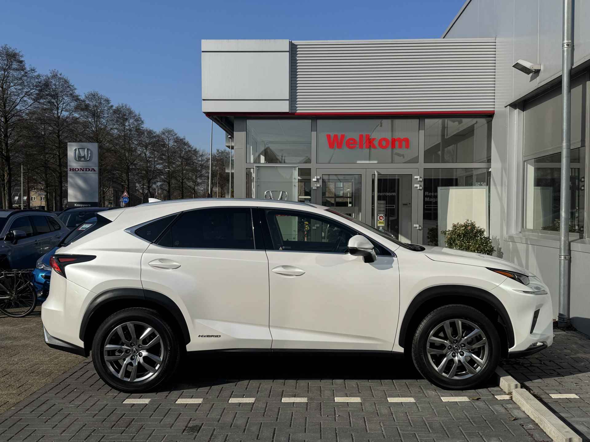 Lexus NX 300h AWD Sport Edition Panoramadak, Trekhaak, Navigatie  , All-in Rijklaarprijs - 37/42