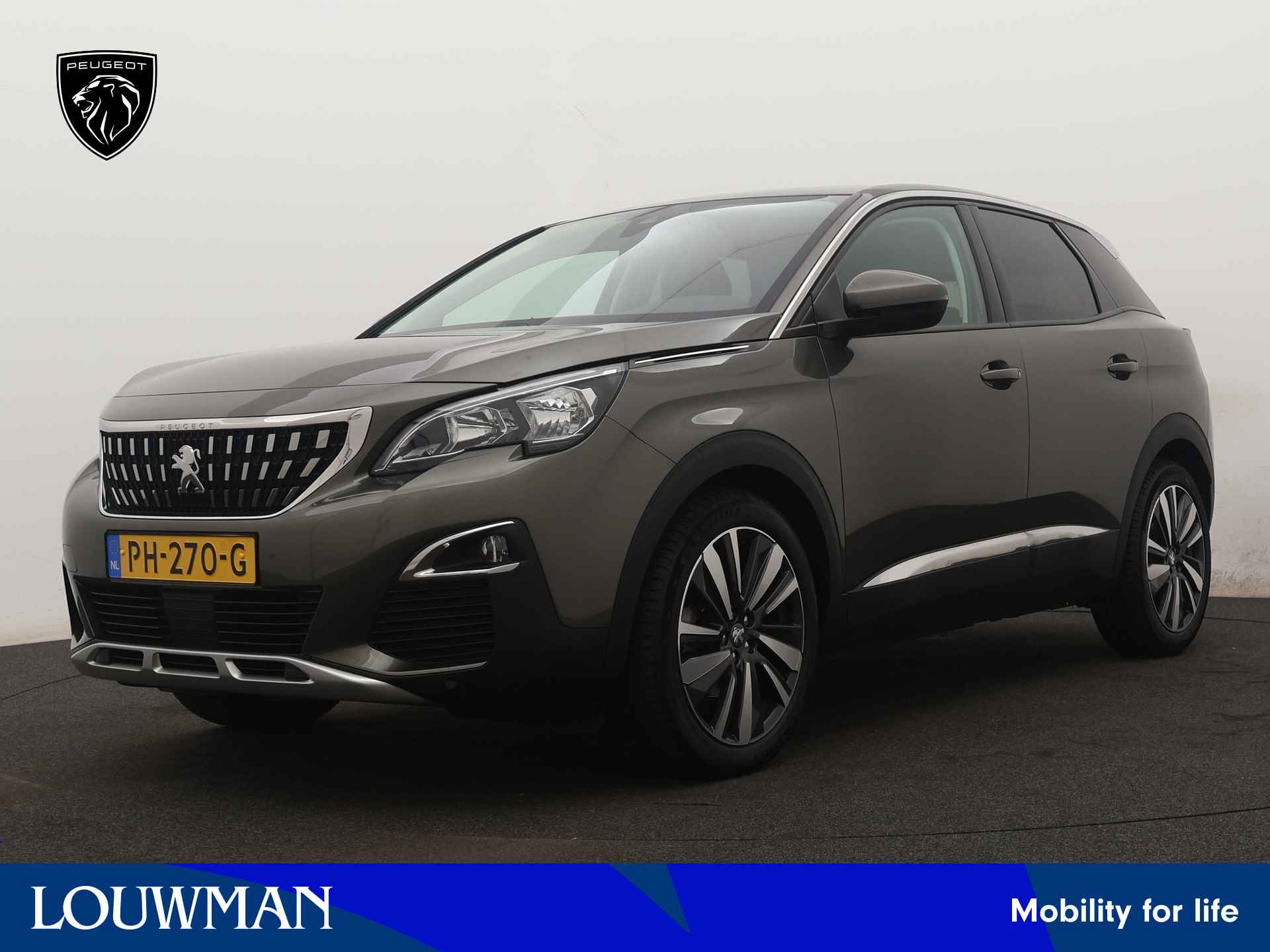 Peugeot 3008 BOVAG 40-Puntencheck