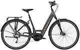 Trek Verve+ 4 Lowstep M Lithium Grey