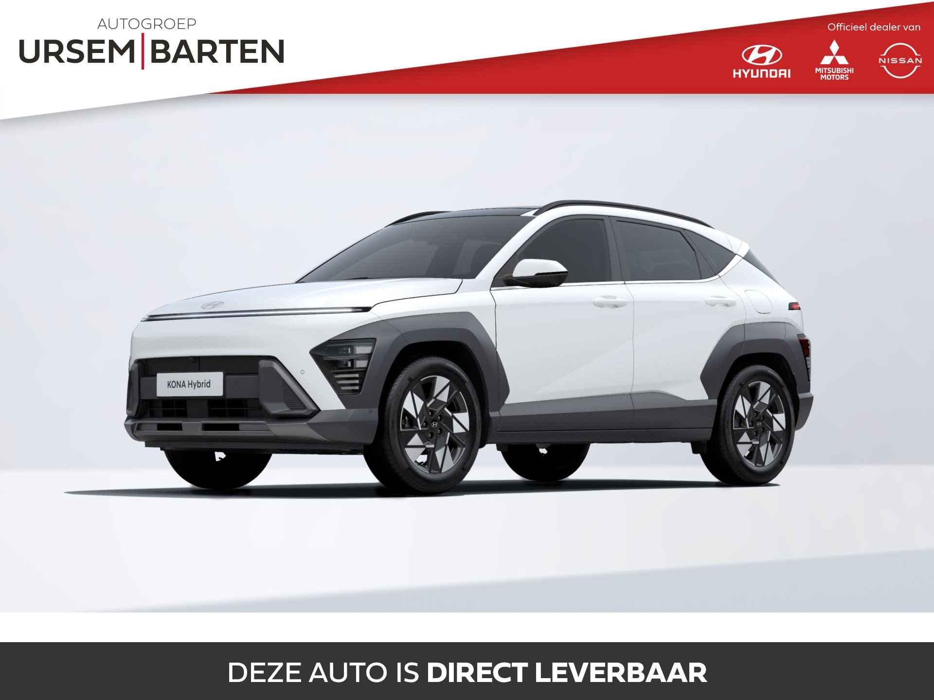 Hyundai Kona BOVAG 40-Puntencheck