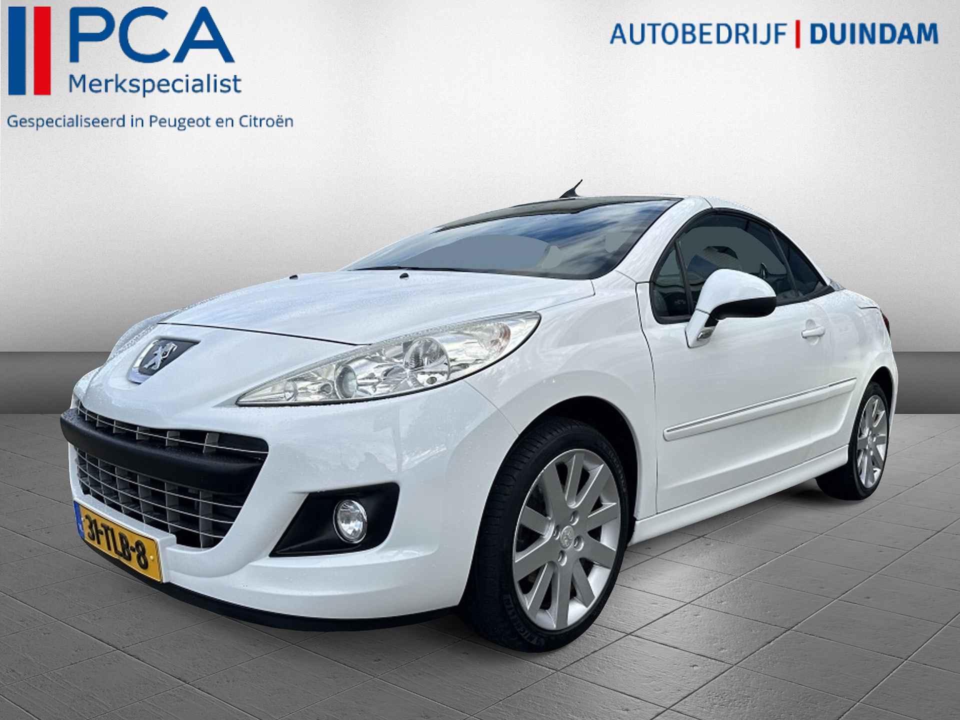 Peugeot 207 BOVAG 40-Puntencheck