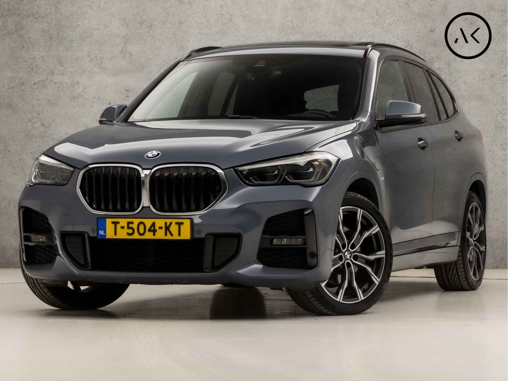 BMW X1 BOVAG 40-Puntencheck