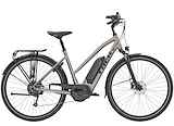 TREK Verve+ 2 Stagger L Matte Gunmetal L 55cm L 2023