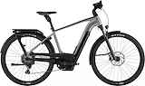 Cannondale Tesoro Neo X 1 heren Heren Grey LG LG 2024