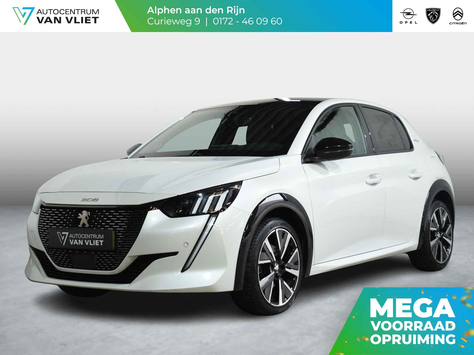 Peugeot 208 BOVAG 40-Puntencheck