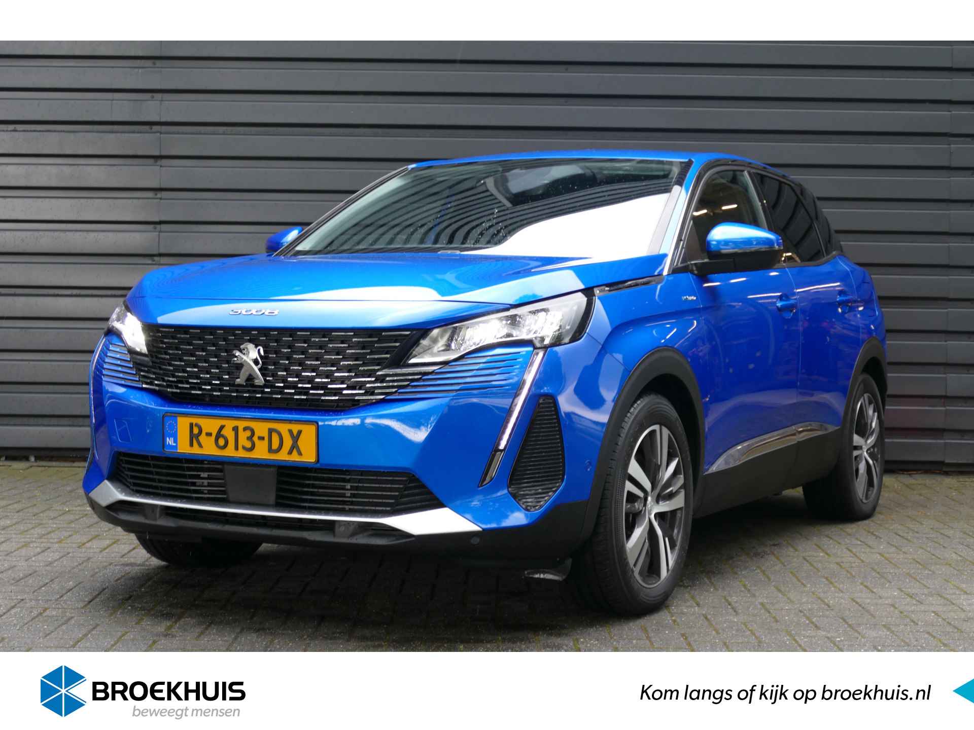 Peugeot 3008 BOVAG 40-Puntencheck