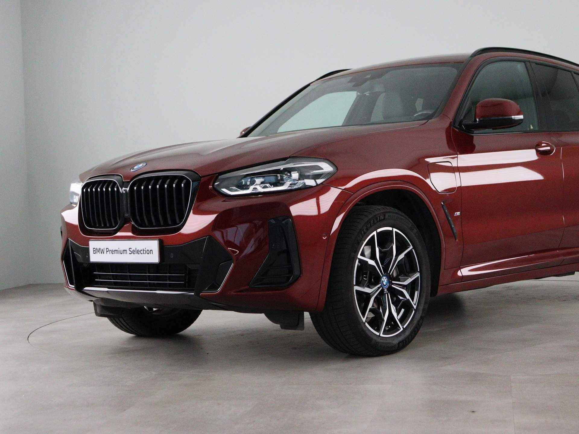 BMW X3 xDrive30e High Executive - 22/25