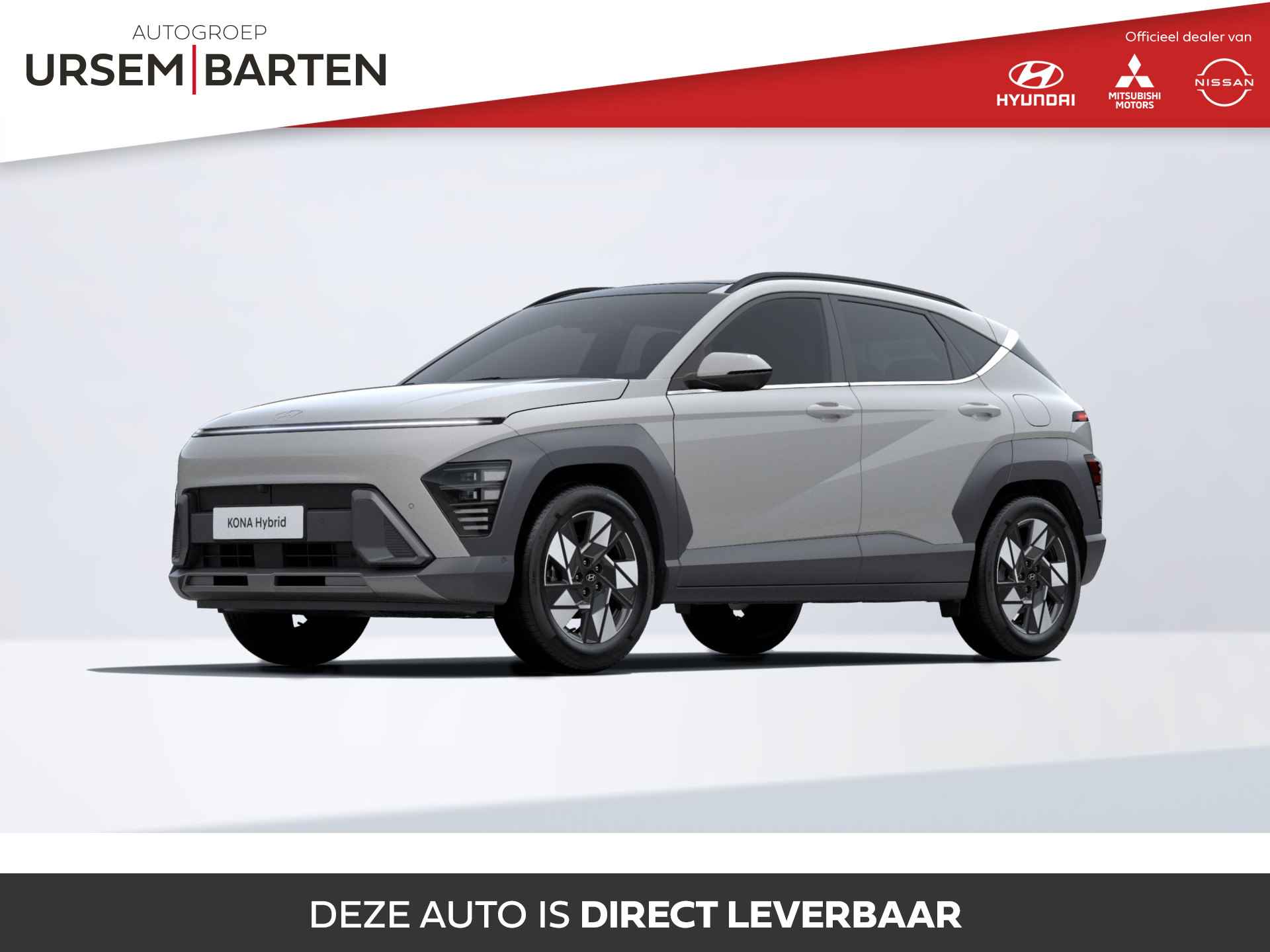 Hyundai Kona BOVAG 40-Puntencheck