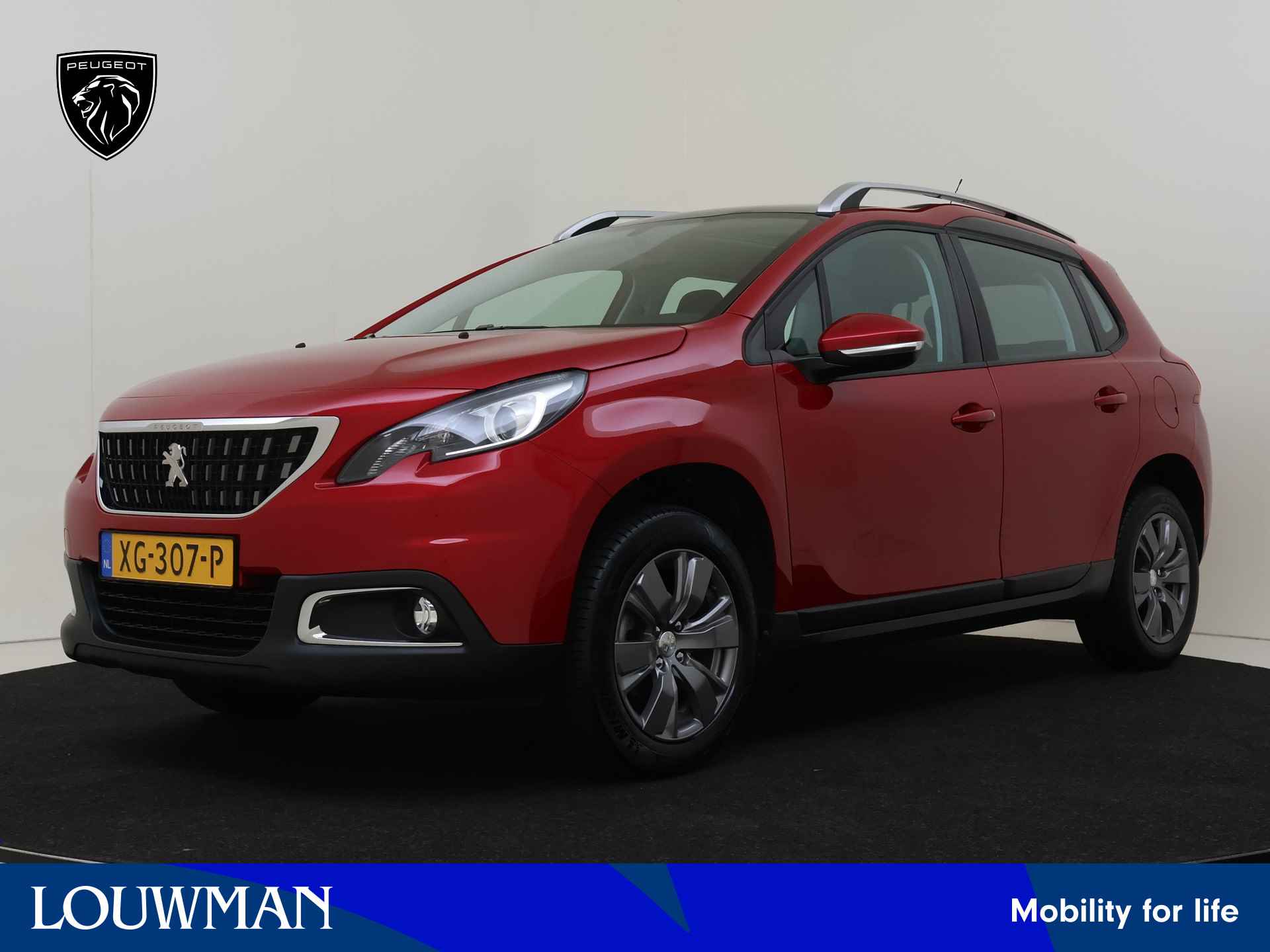 Peugeot 2008 BOVAG 40-Puntencheck