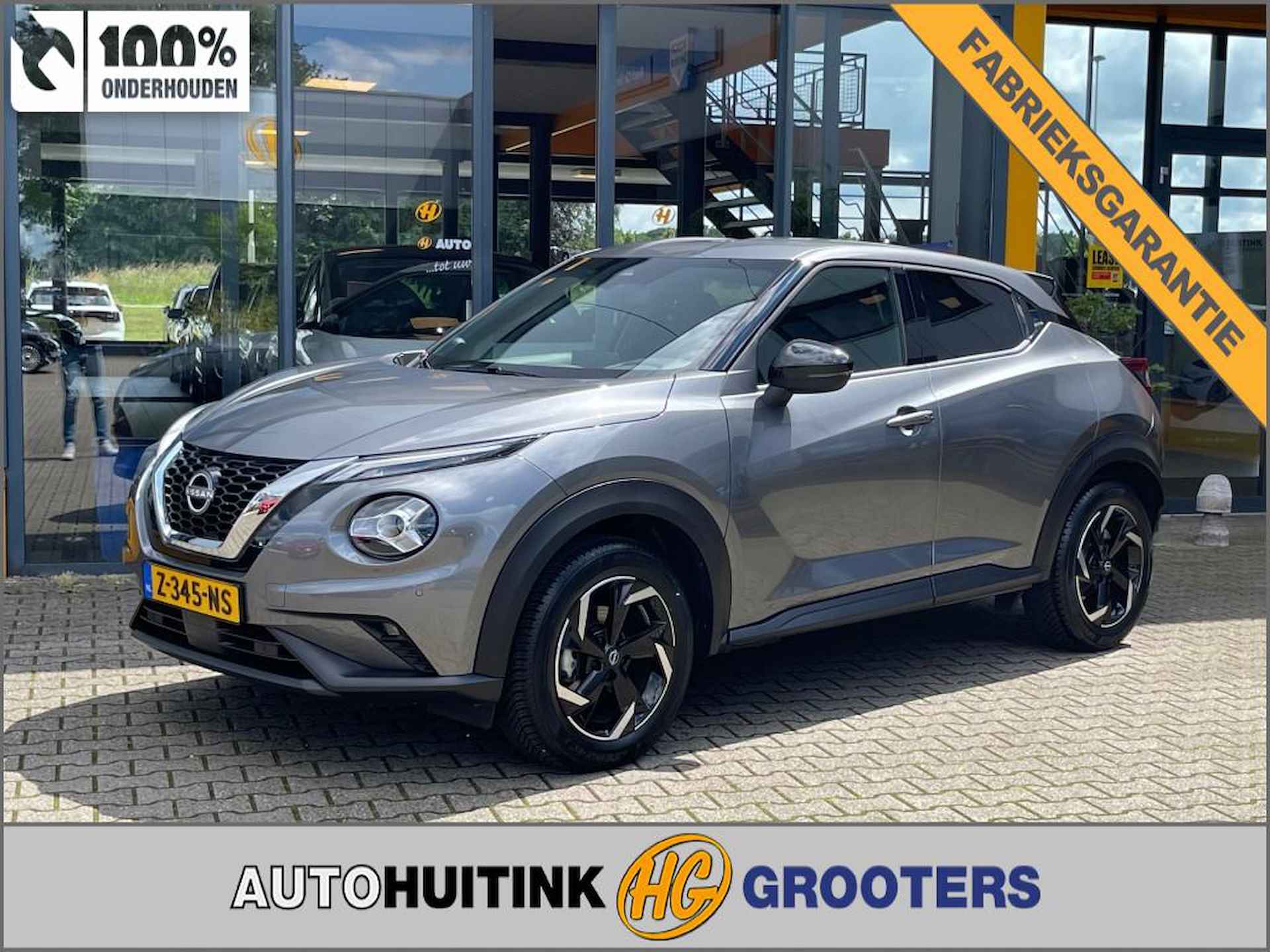 Nissan Juke BOVAG 40-Puntencheck