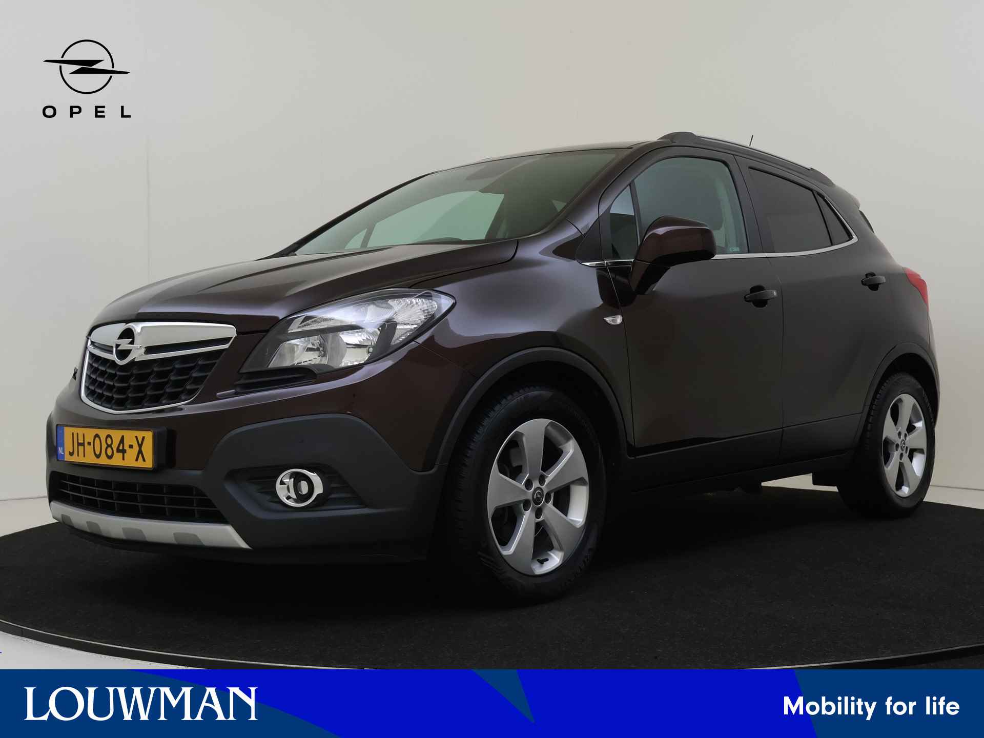 Opel Mokka BOVAG 40-Puntencheck