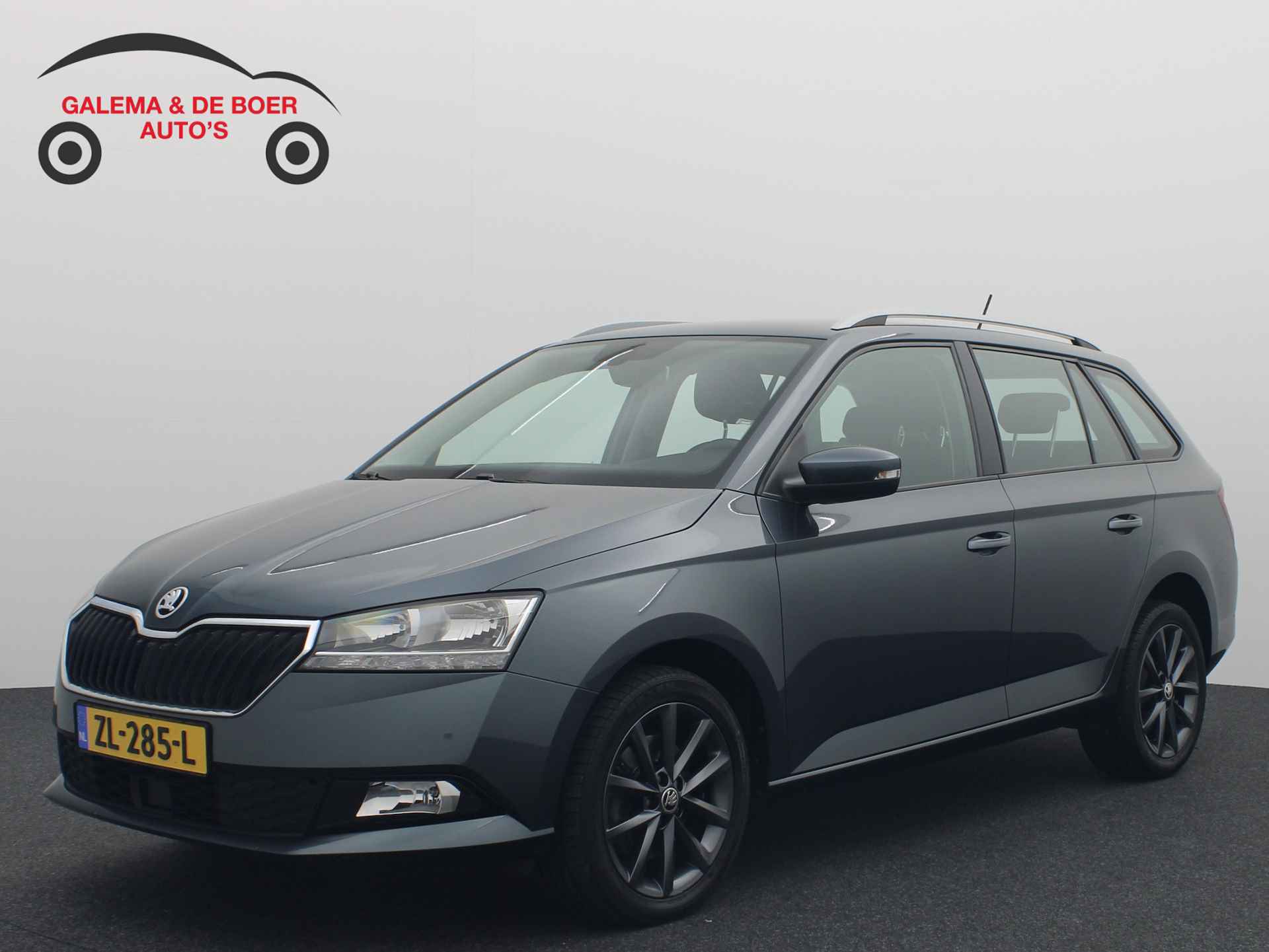 Škoda Fabia BOVAG 40-Puntencheck