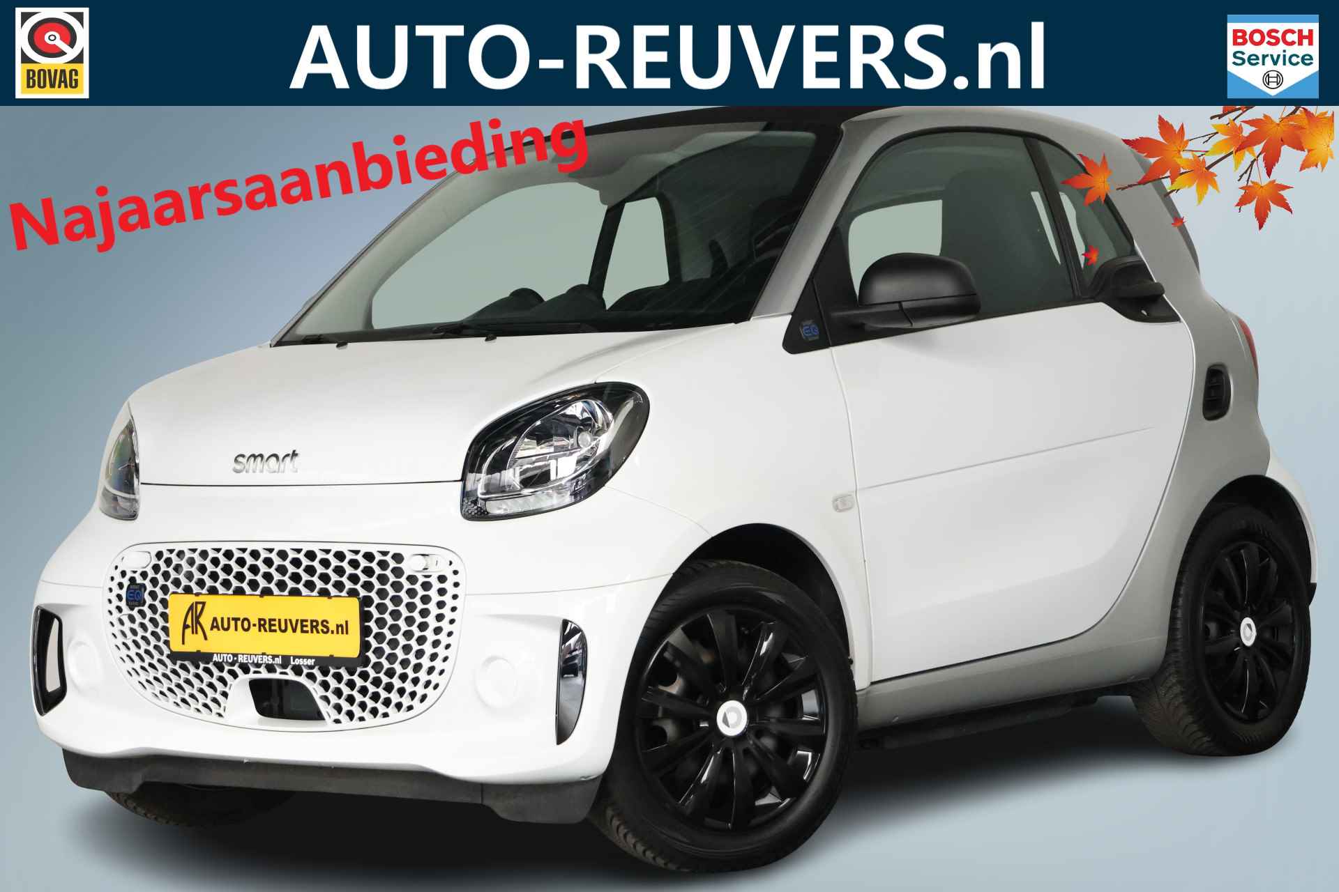 Smart Fortwo BOVAG 40-Puntencheck