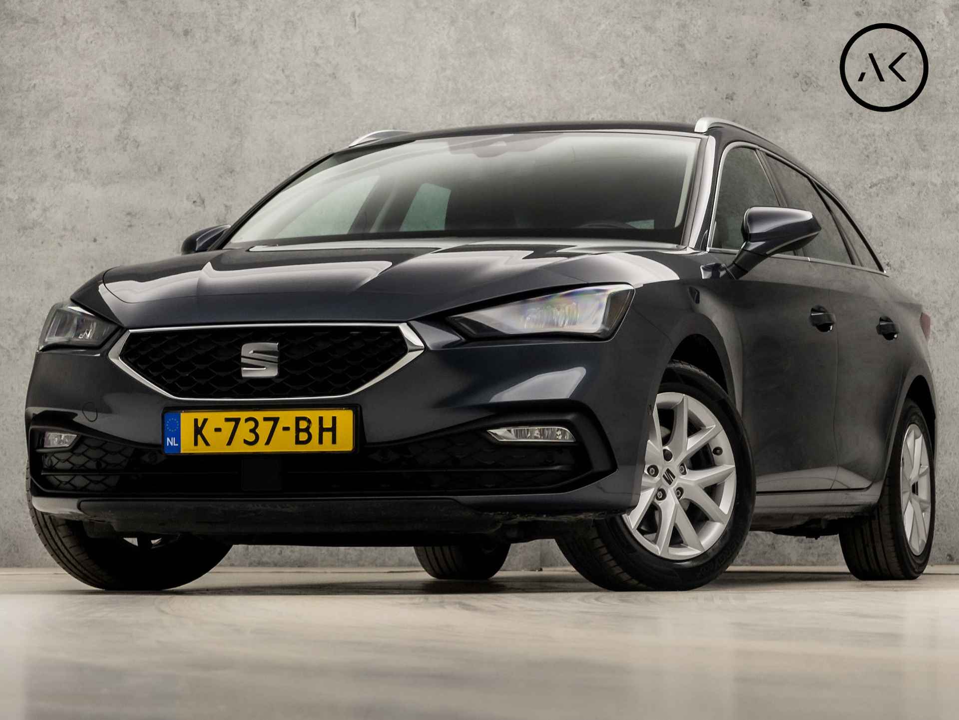 Seat Leon BOVAG 40-Puntencheck