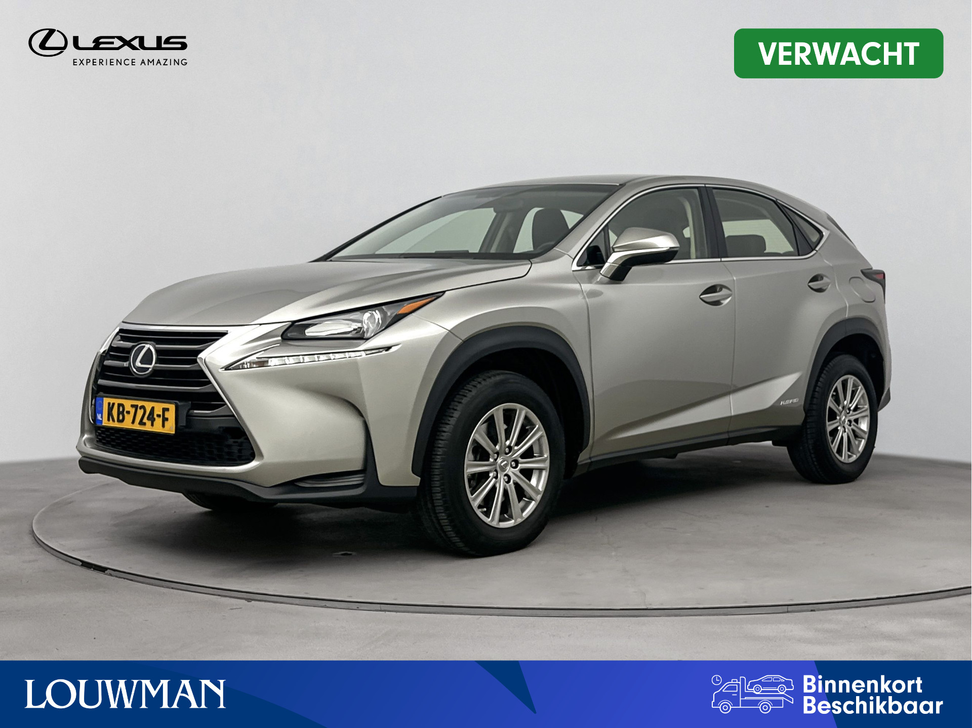 Lexus NX 300h | Navigatie |