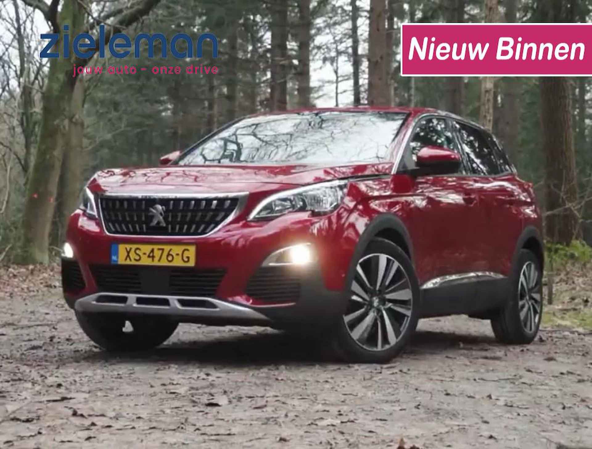 Peugeot 3008 BOVAG 40-Puntencheck