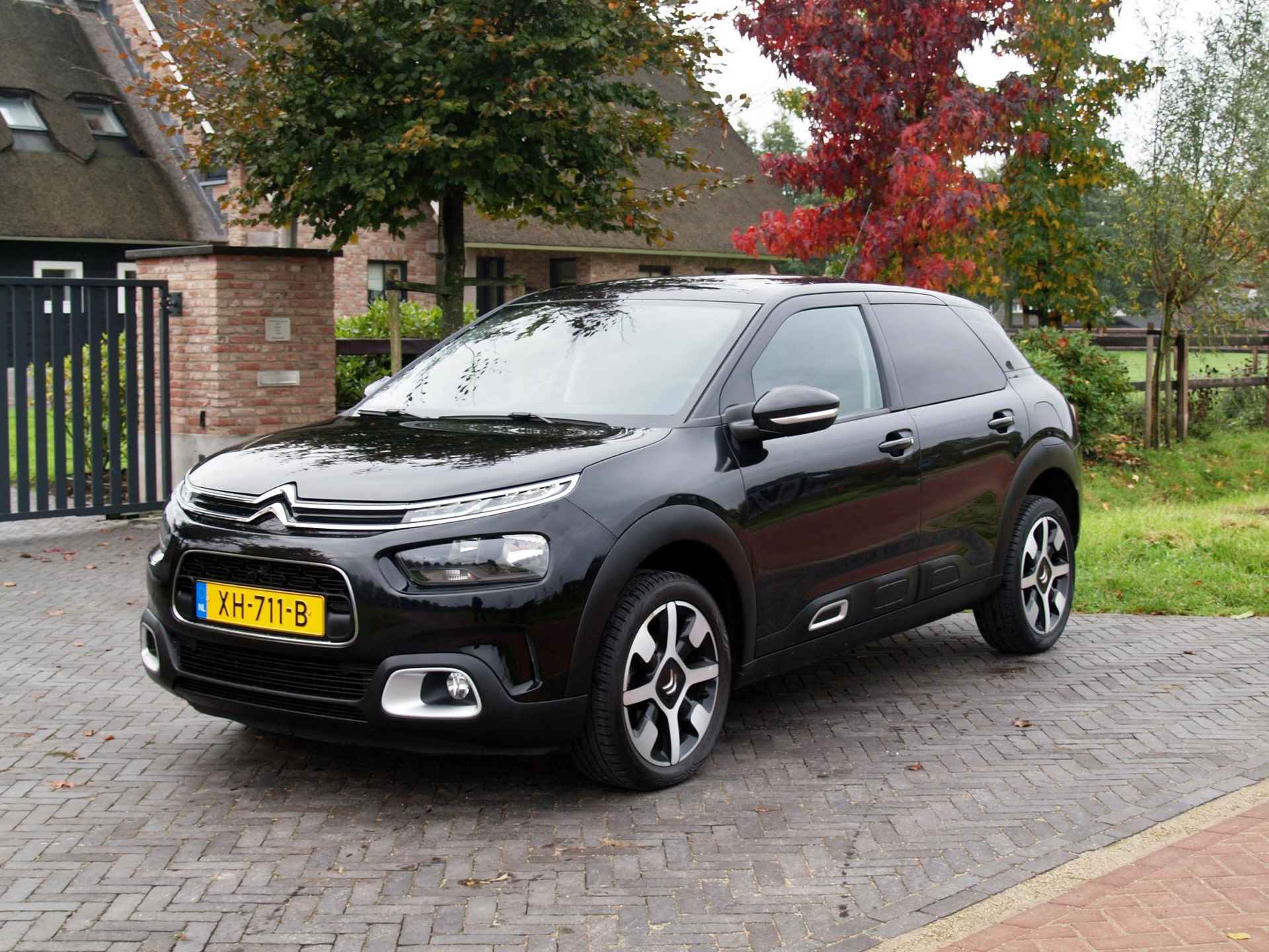 Citroen C4 Cactus 1.2 PureTech Business | Camera | Trekhaak | Cruise Control | Apple Carplay | Glazen dak | - 6/32