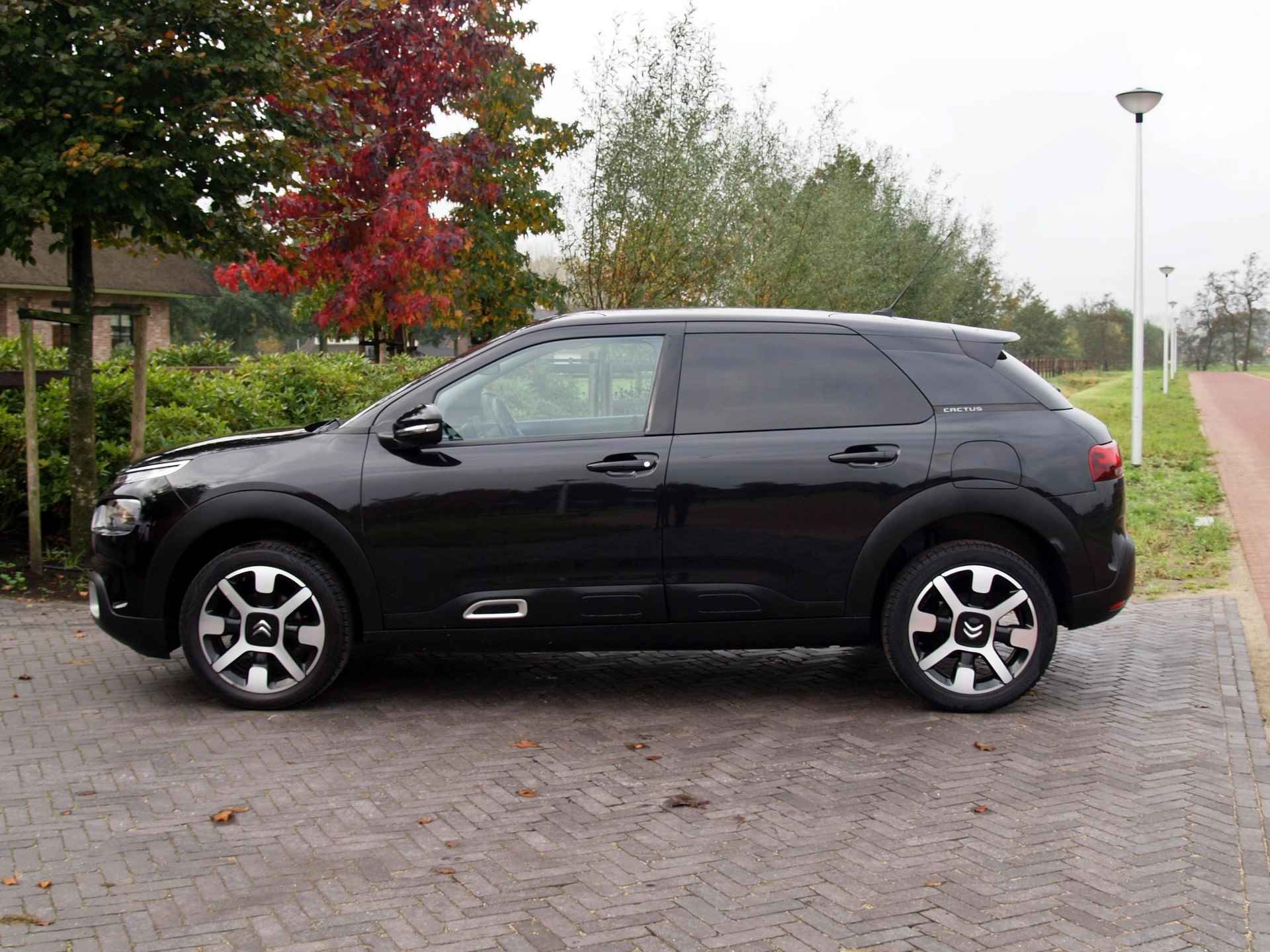 Citroen C4 Cactus 1.2 PureTech Business | Camera | Trekhaak | Cruise Control | Apple Carplay | Glazen dak | - 7/32