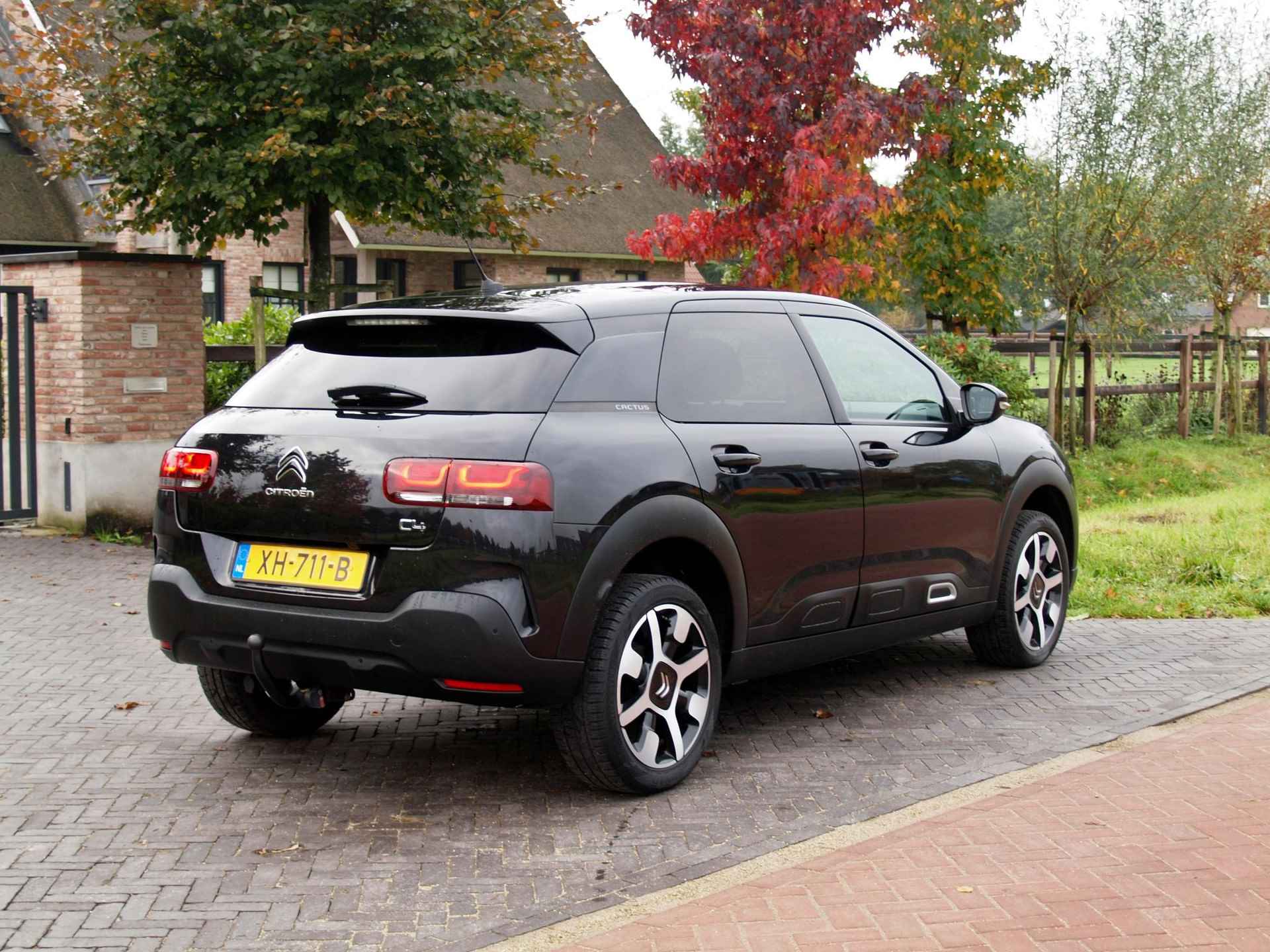 Citroen C4 Cactus 1.2 PureTech Business | Camera | Trekhaak | Cruise Control | Apple Carplay | Glazen dak | - 10/32