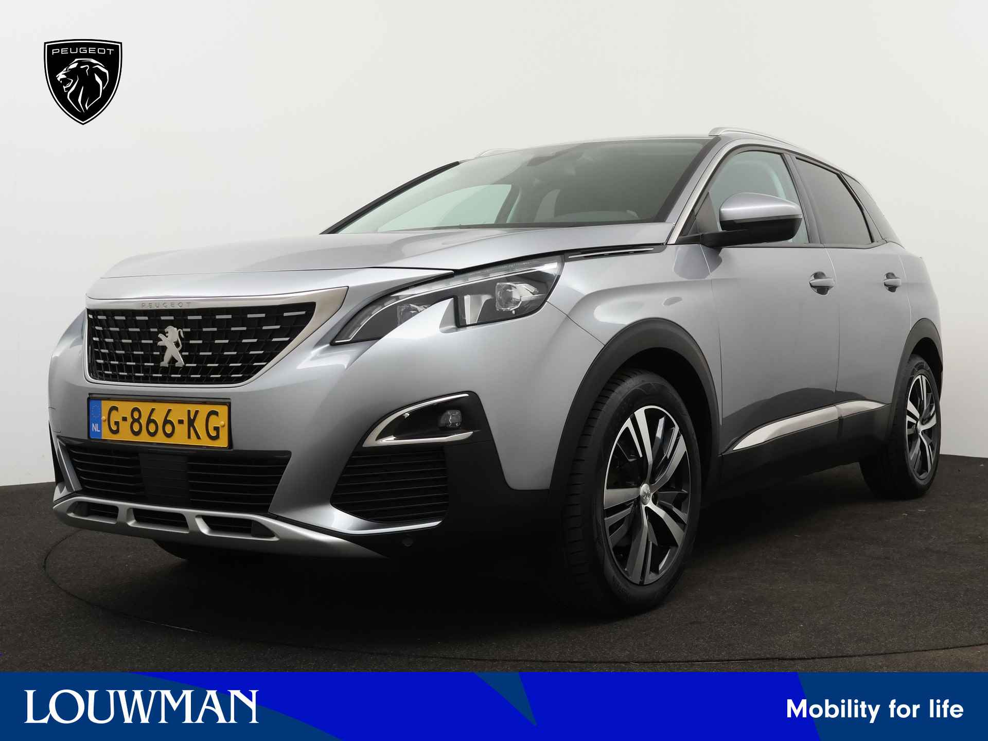 Peugeot 3008 BOVAG 40-Puntencheck